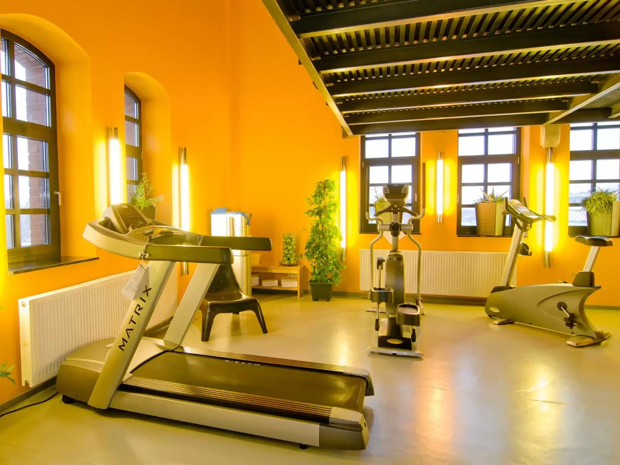 Fitness centre/facilities, Fitness Center/Facilities in ACHAT Hotel Offenbach Plaza