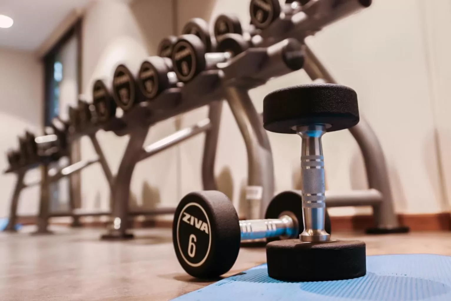 Fitness centre/facilities in Cottage Puerto Buceo