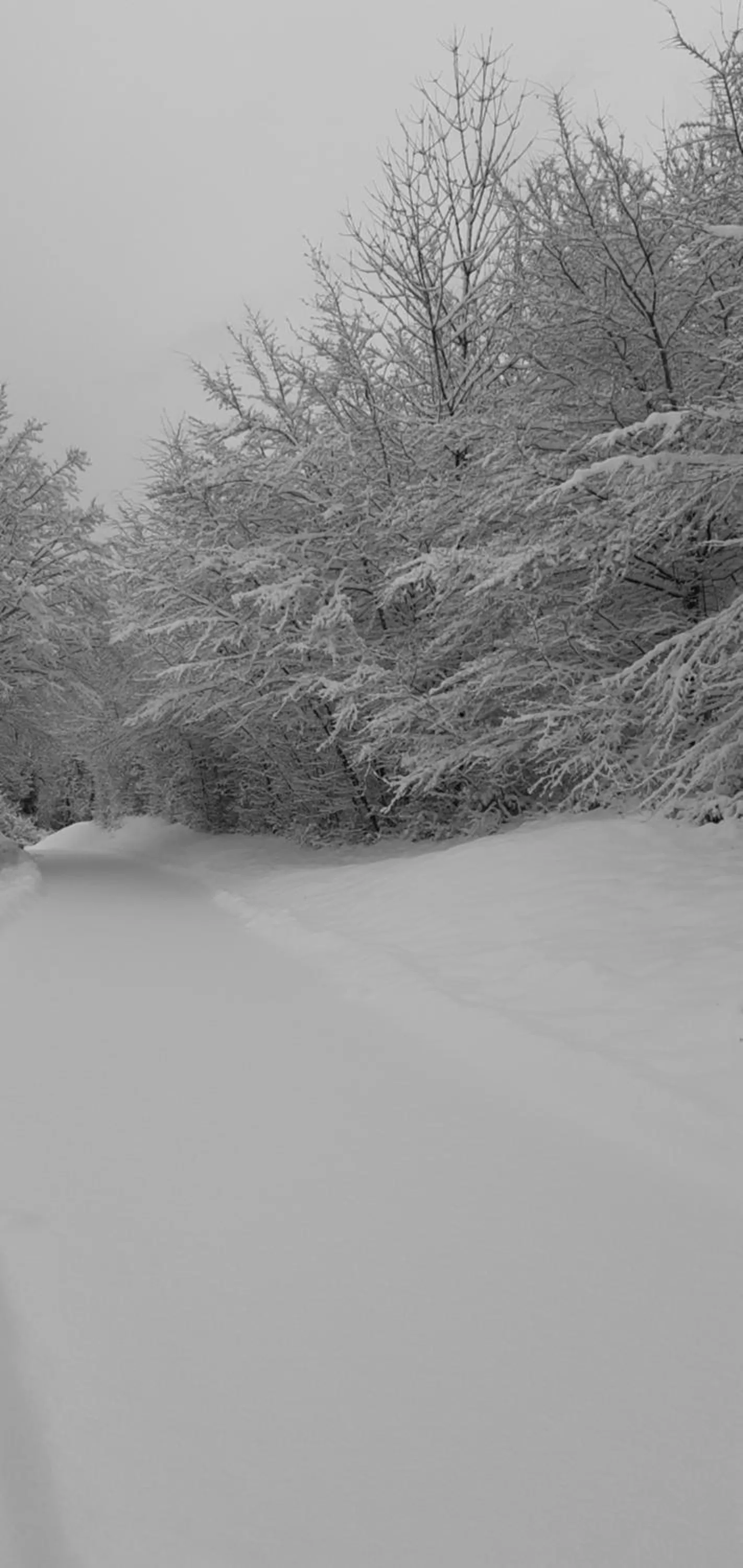 Winter in Au coucher du lac