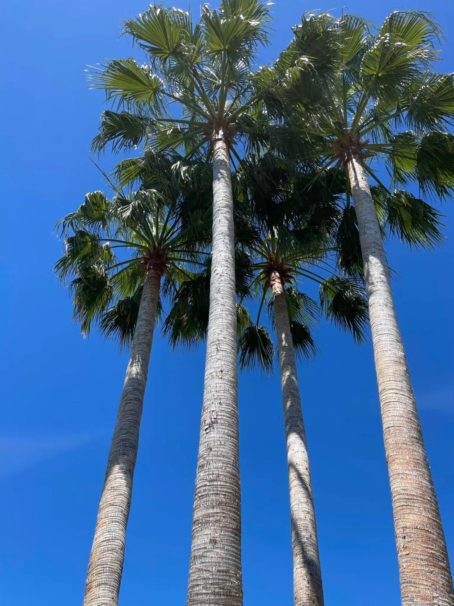 Garden in La Bastide Gourmande