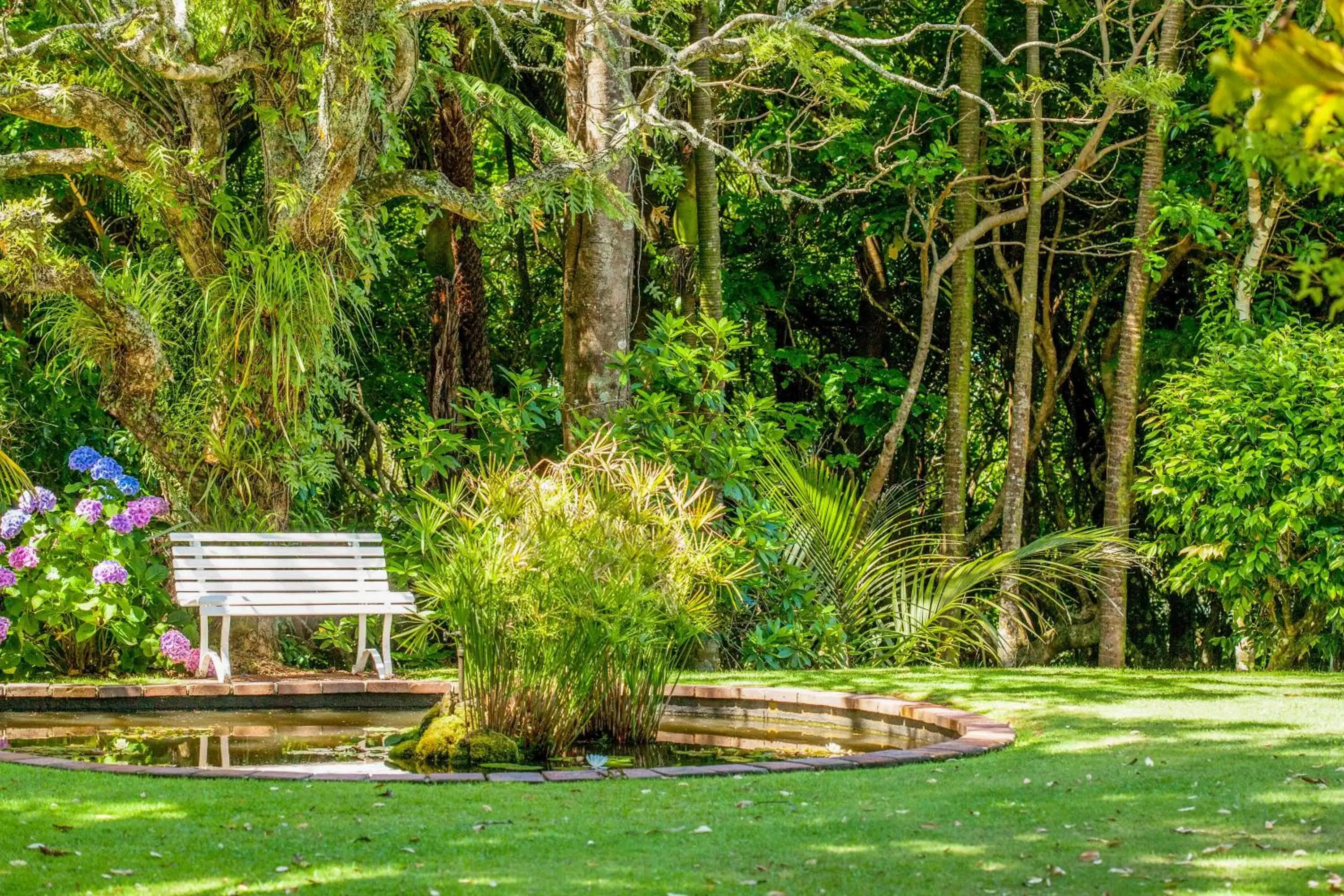 Garden view, Garden in Waitakere Resort & Spa