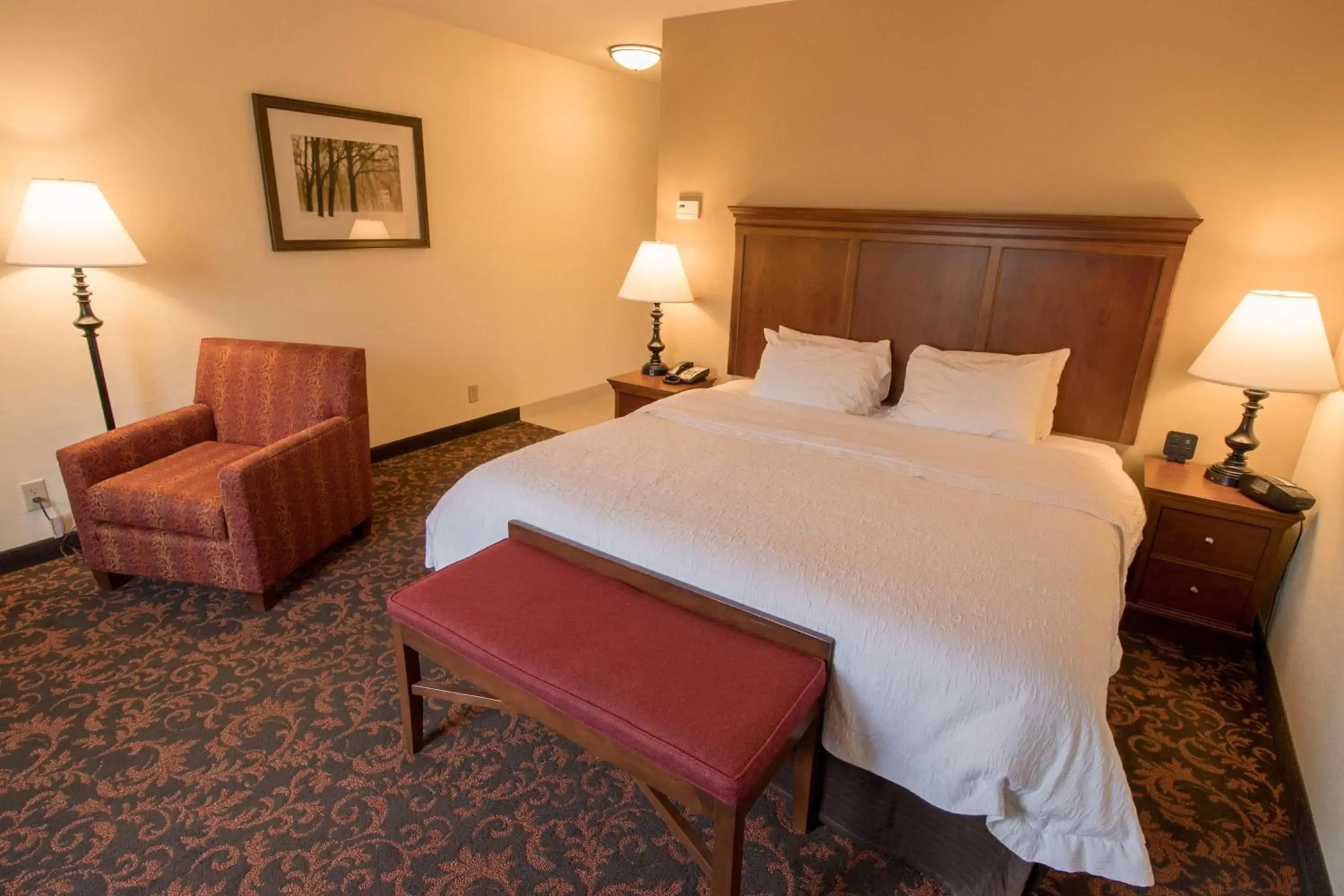 Living room, Bed in Hampton Inn Lincolnton