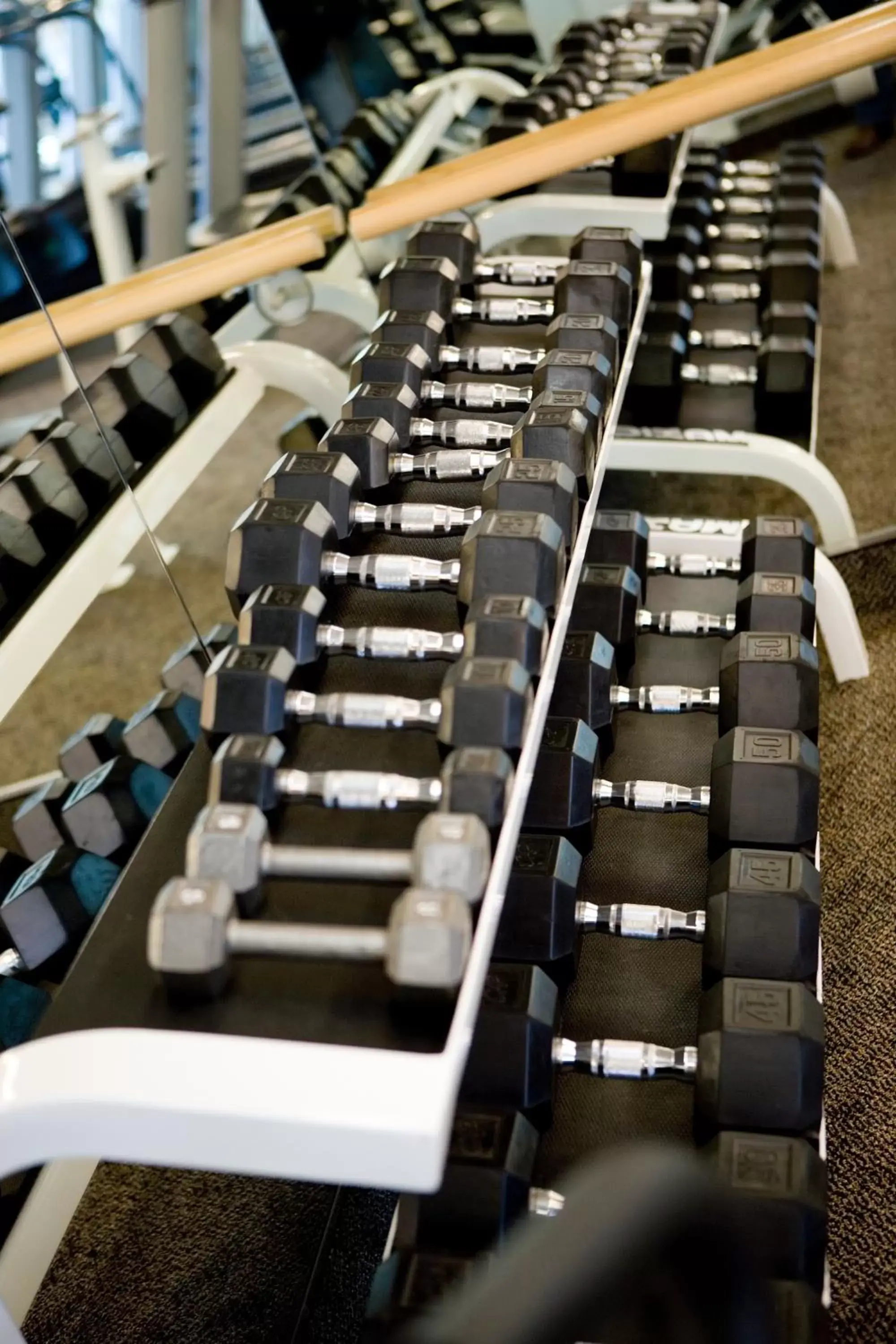 Fitness centre/facilities, Fitness Center/Facilities in The Colonnade Hotel