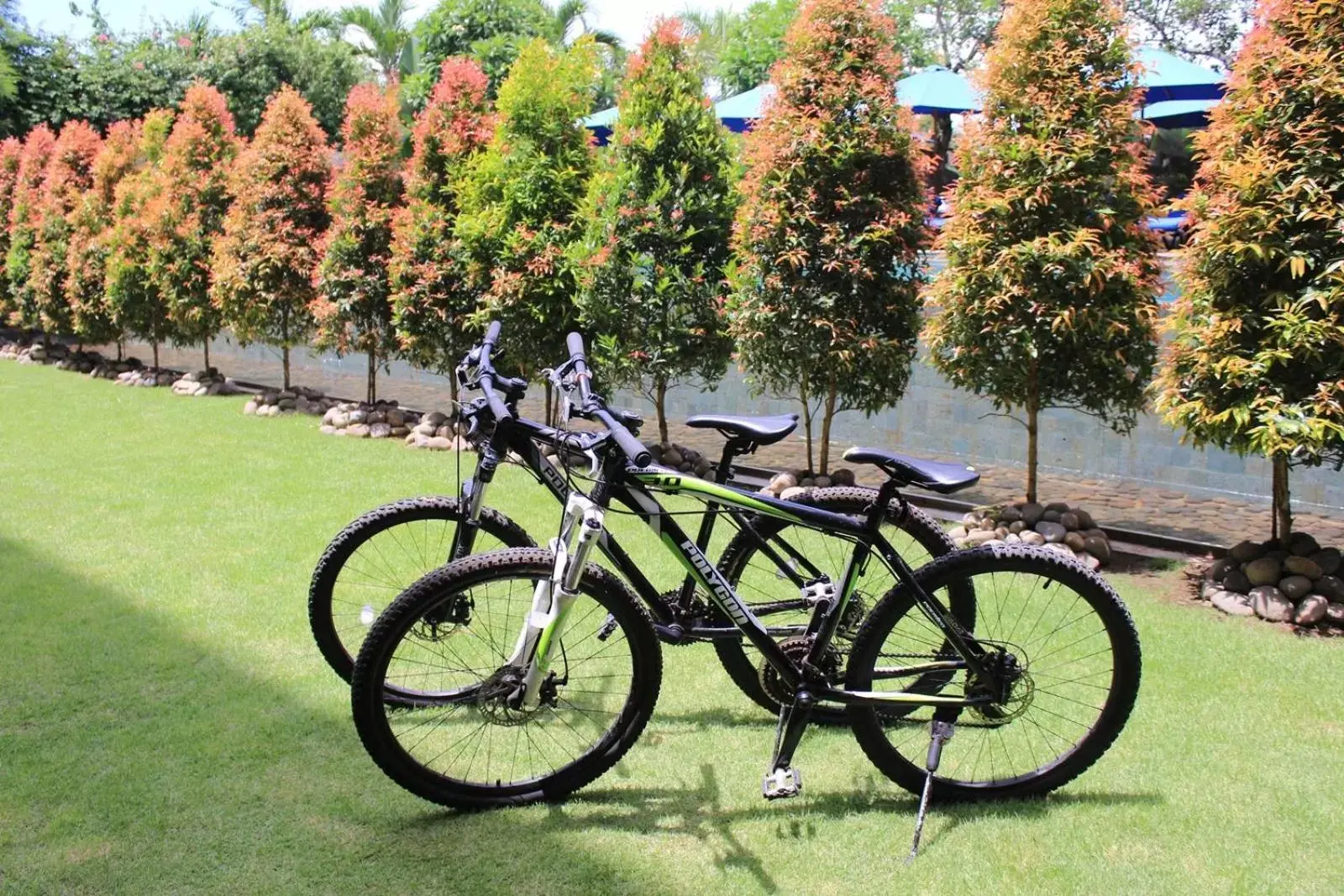 Cycling, Other Activities in Watermark Hotel & Spa Bali