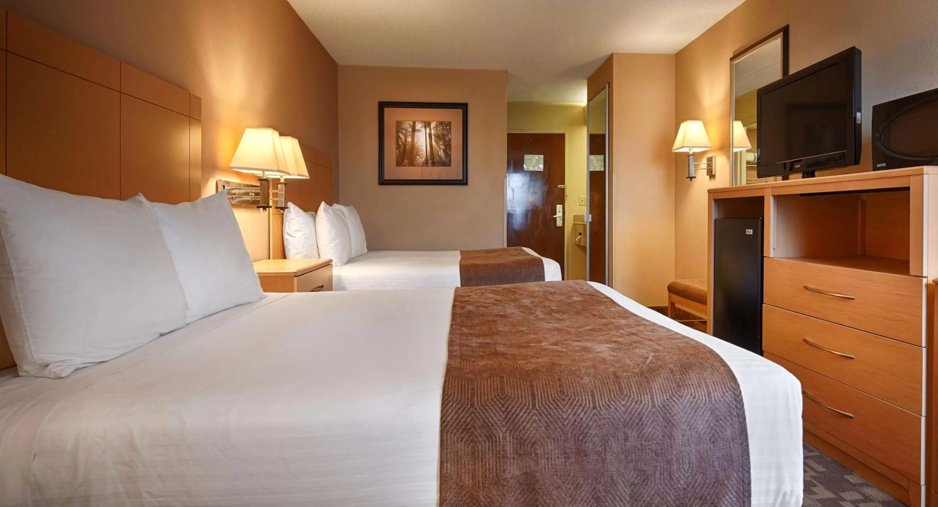 Photo of the whole room, Bed in SureStay Plus Hotel by Best Western Roanoke Rapids I-95