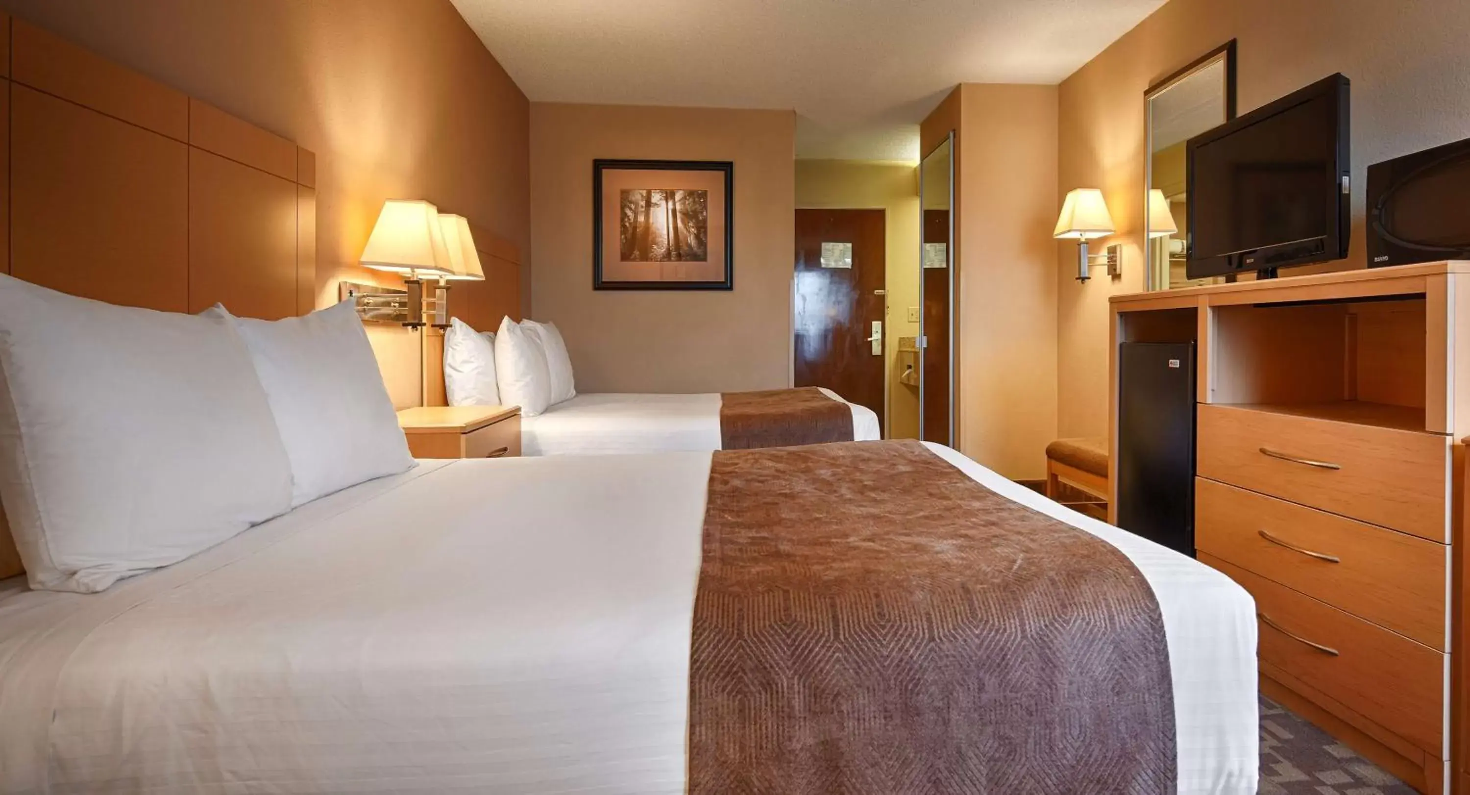 Photo of the whole room, Bed in SureStay Plus Hotel by Best Western Roanoke Rapids I-95