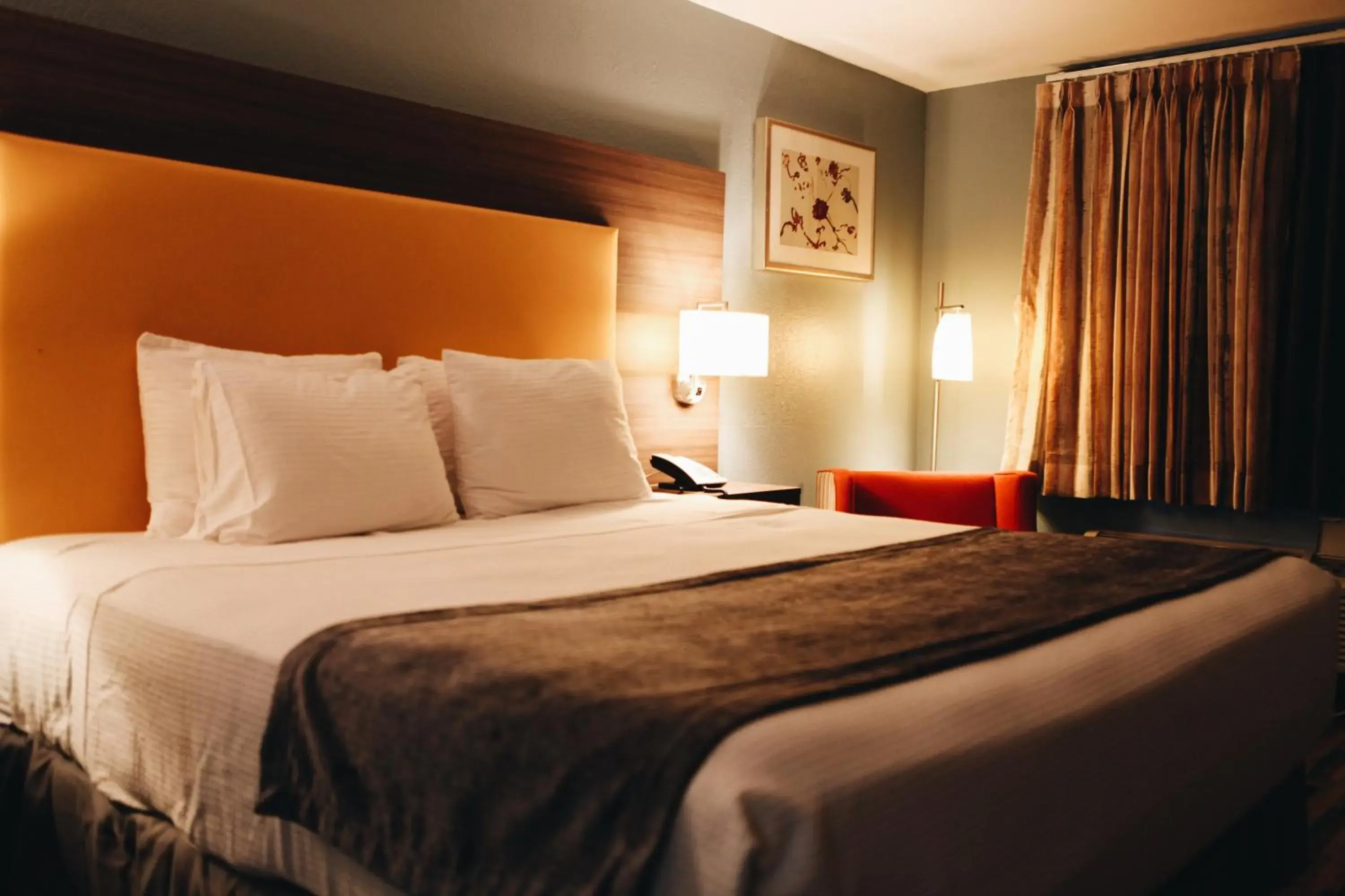 Bed in Budgetel Inn & Suites Memphis