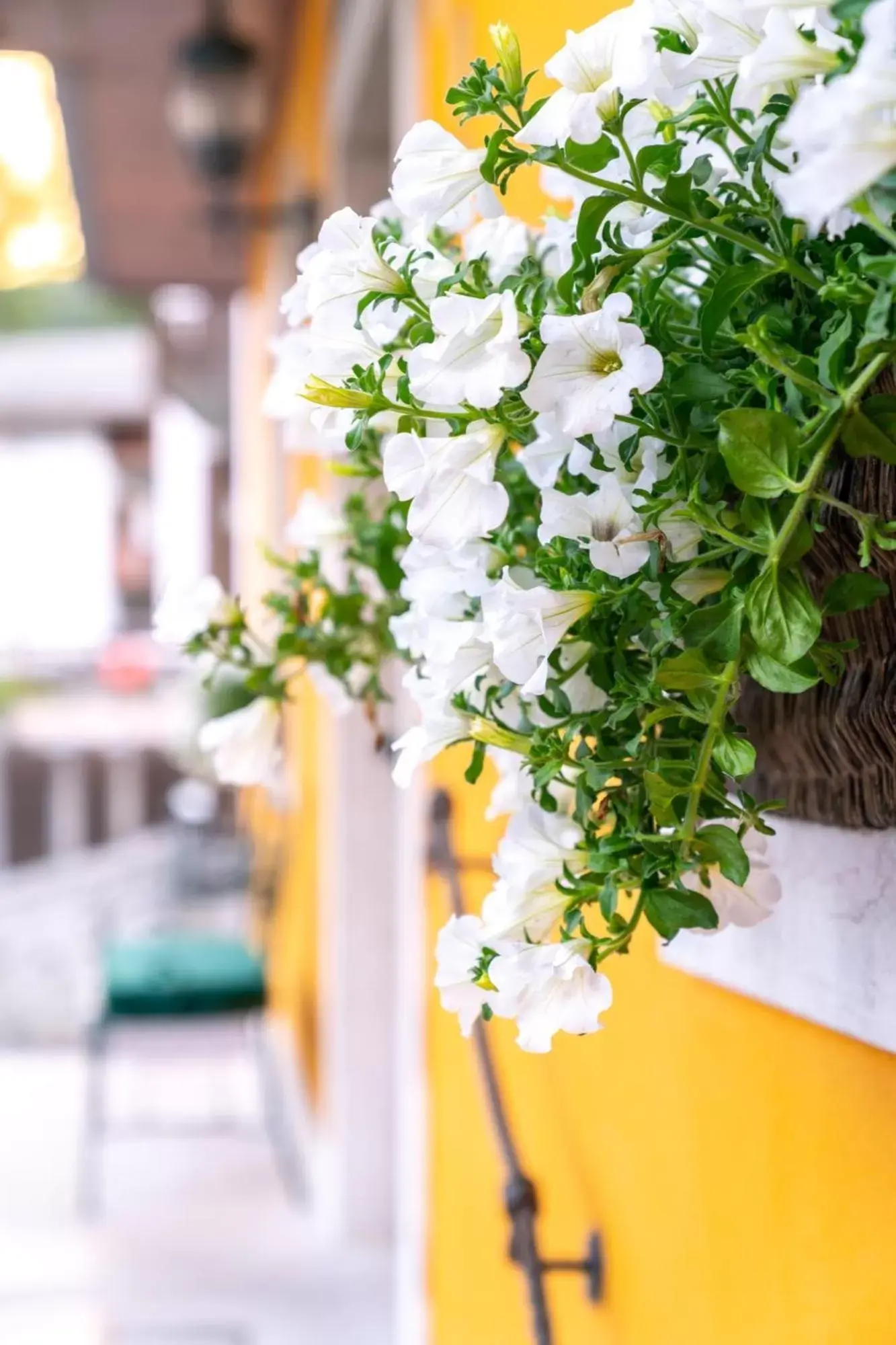 Property building in Ambra Cortina Luxury&Fashion Hotel Property building in Ambra Cortina Luxury&Fashion Hotel