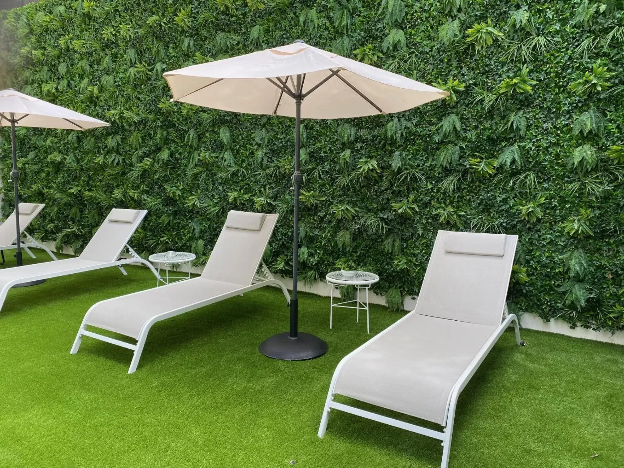 Garden in Lisbon City Hollywood Hotel by City Hotels