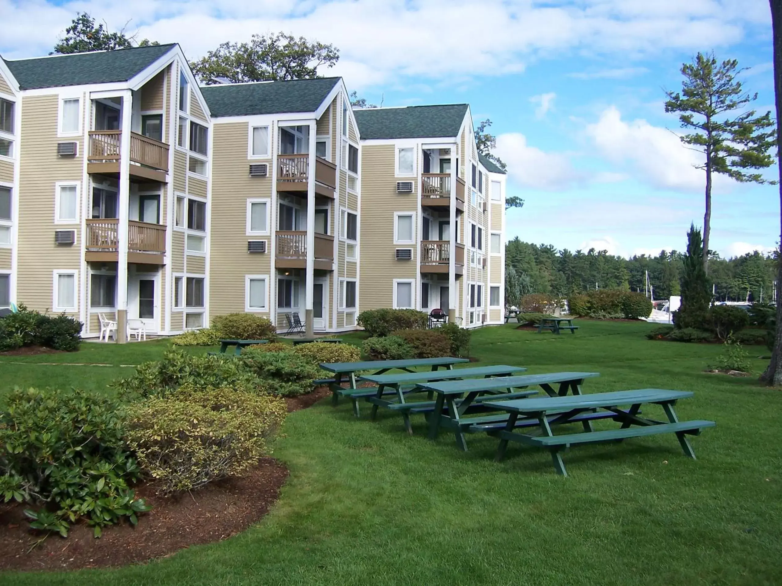 Property Building in Misty Harbor Resort