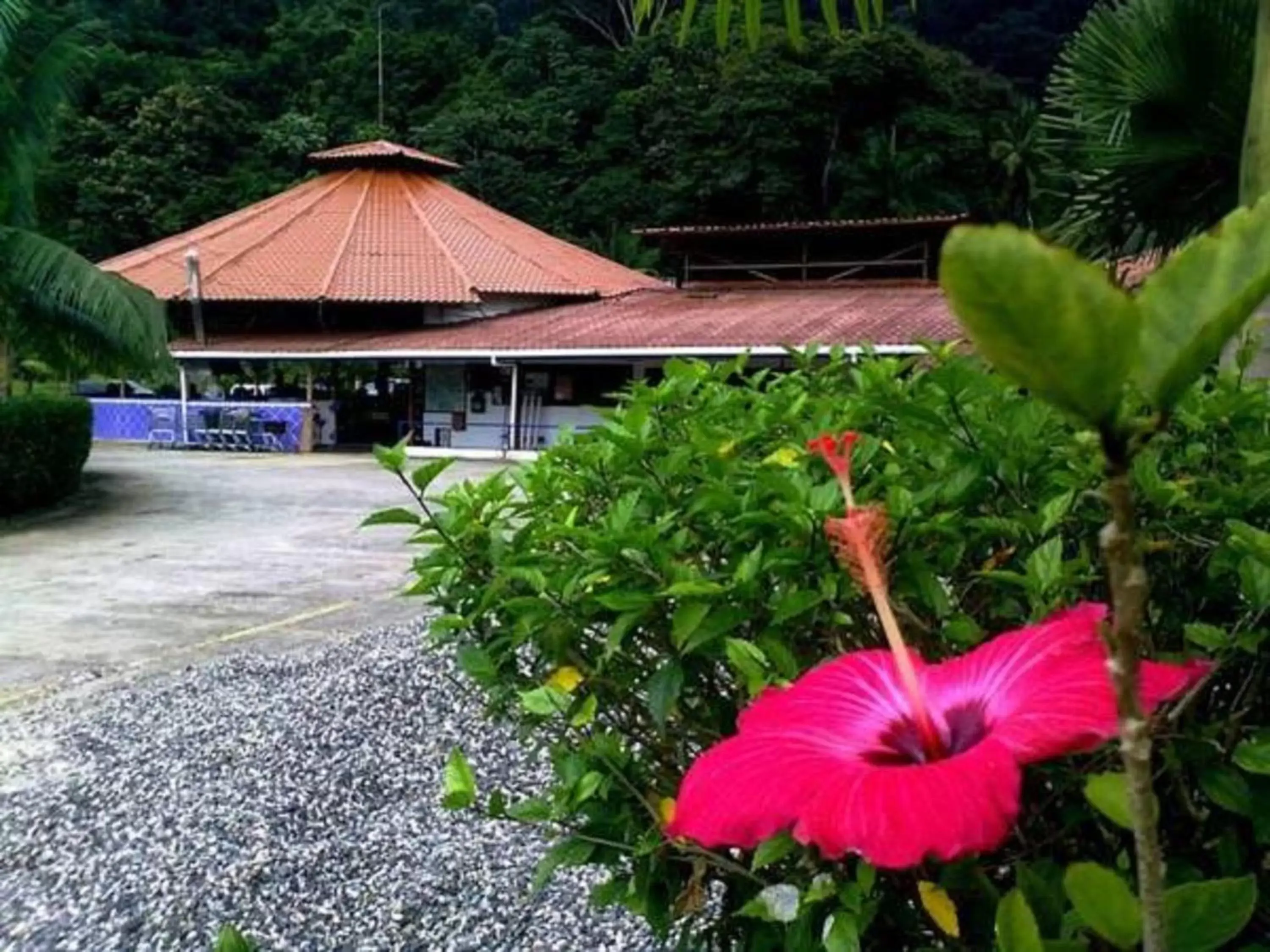 Property building in Hotel Samoa del Sur