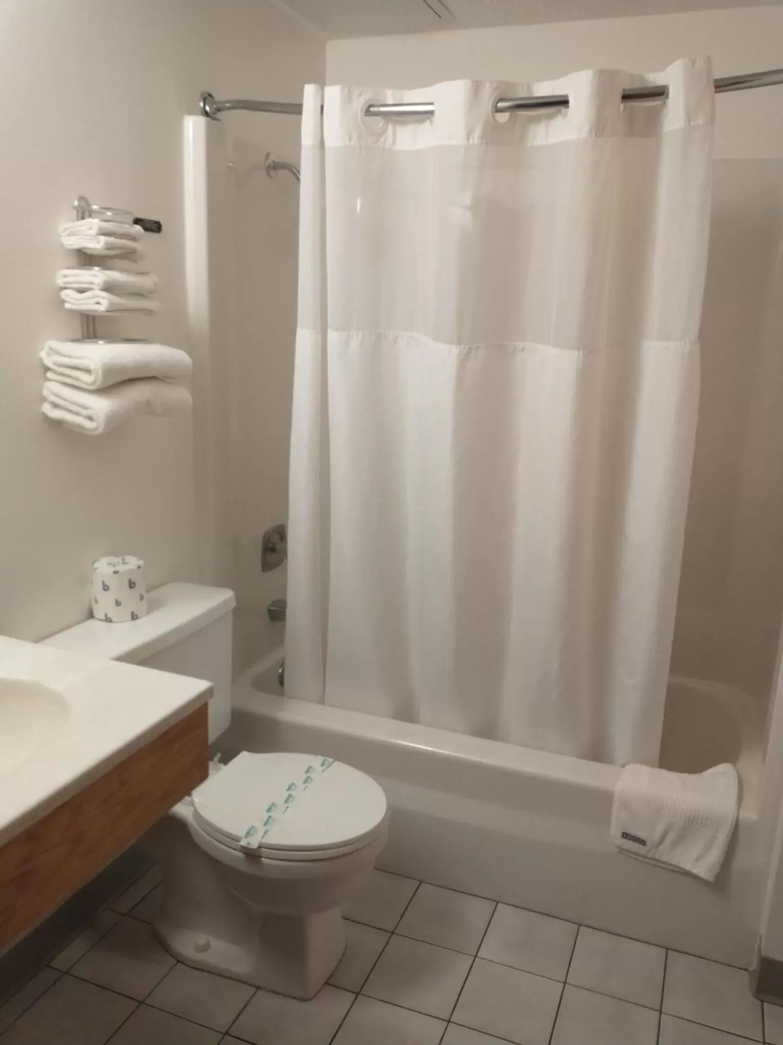 Bathroom in Americas Best Value Inn Sauk Centre