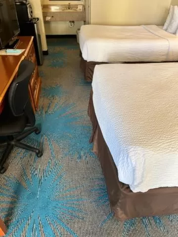 Bed in Days Inn by Wyndham Asheville West