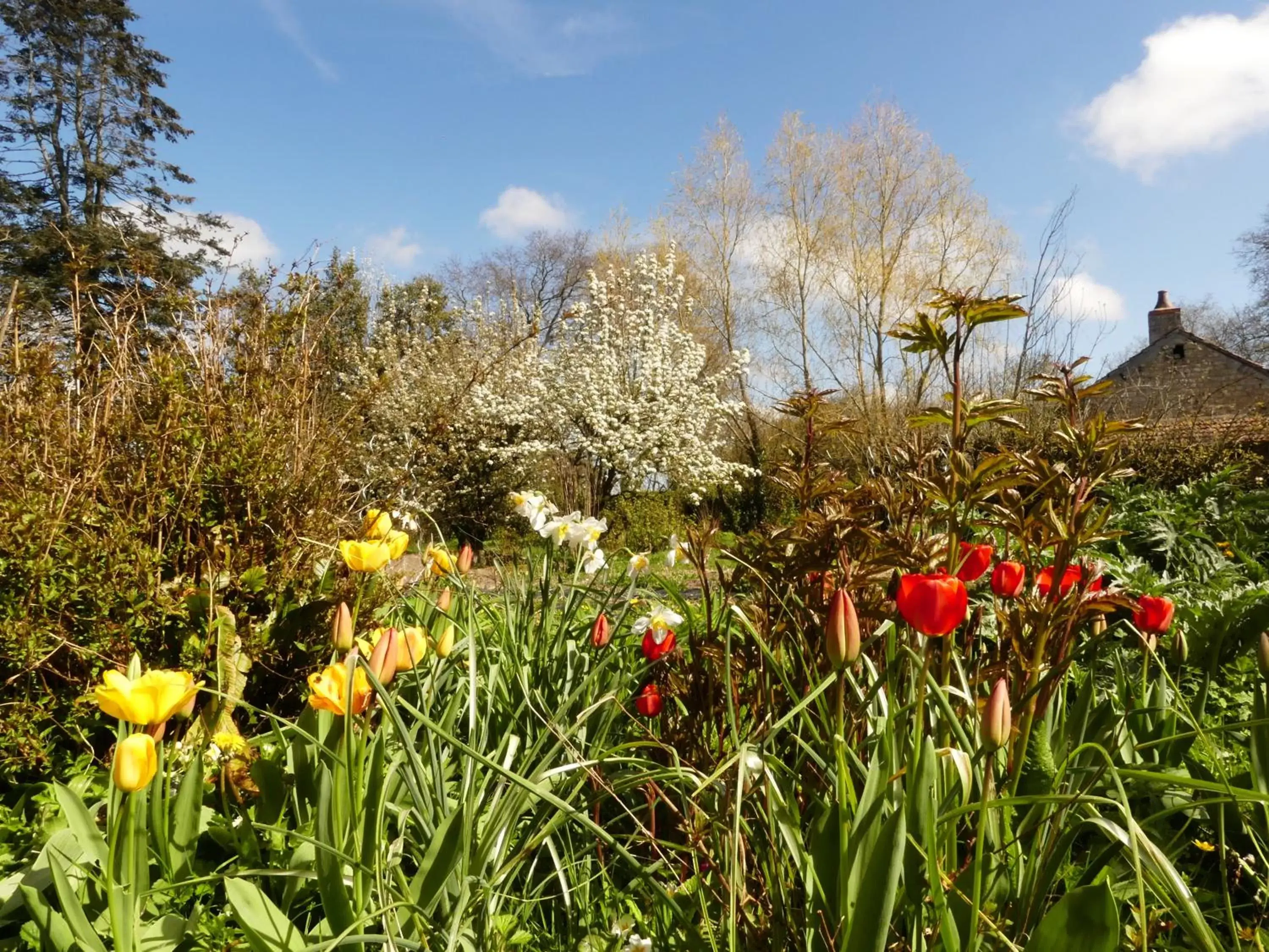 Garden in Domaine De La Cour Vautier