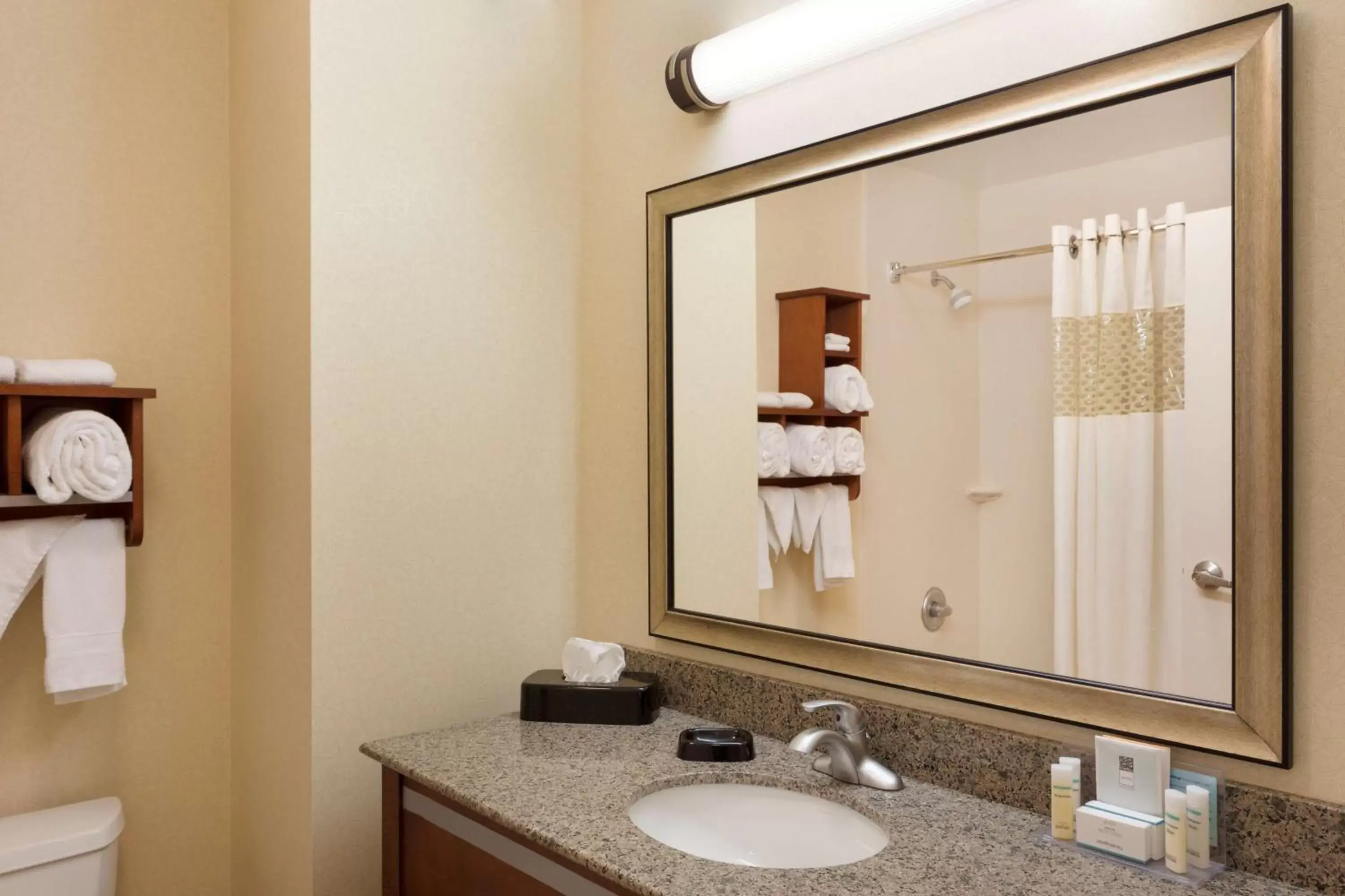 Bathroom in Hampton Inn & Suites Detroit/Chesterfield