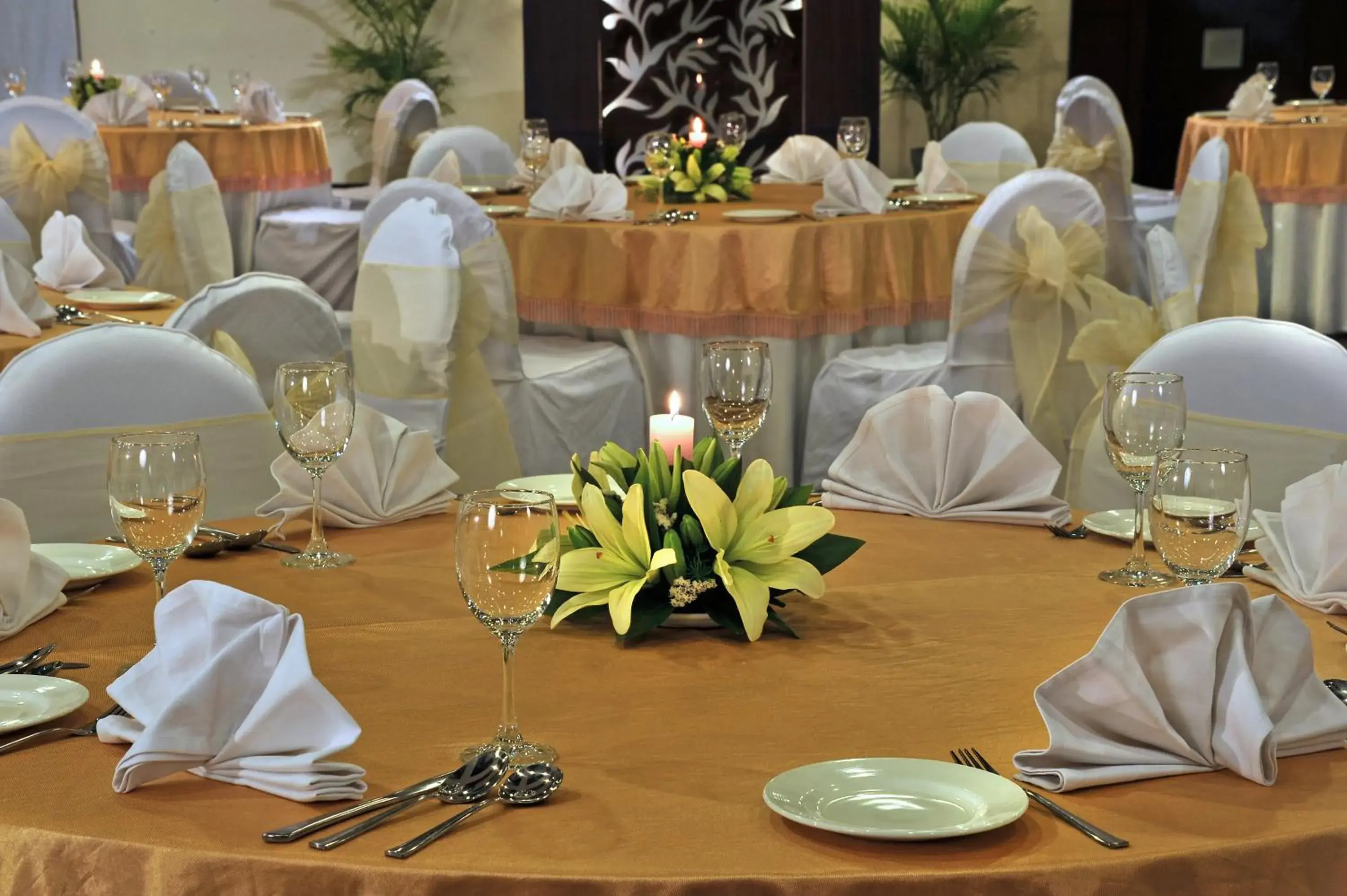 Banquet/Function facilities, Banquet Facilities in Country Inn & Suites by Radisson, Gurugram Sector 12