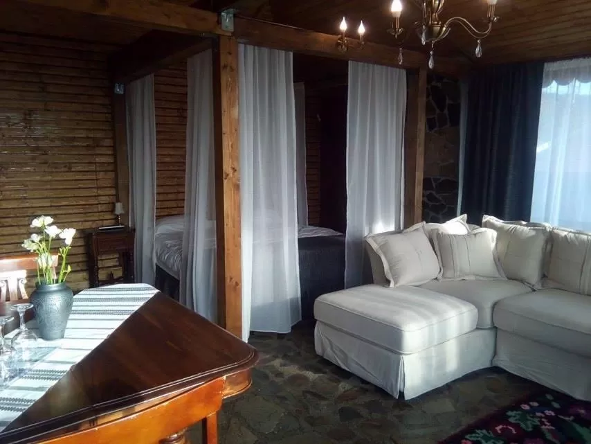Living room in Pensiunea Taverna Bucium