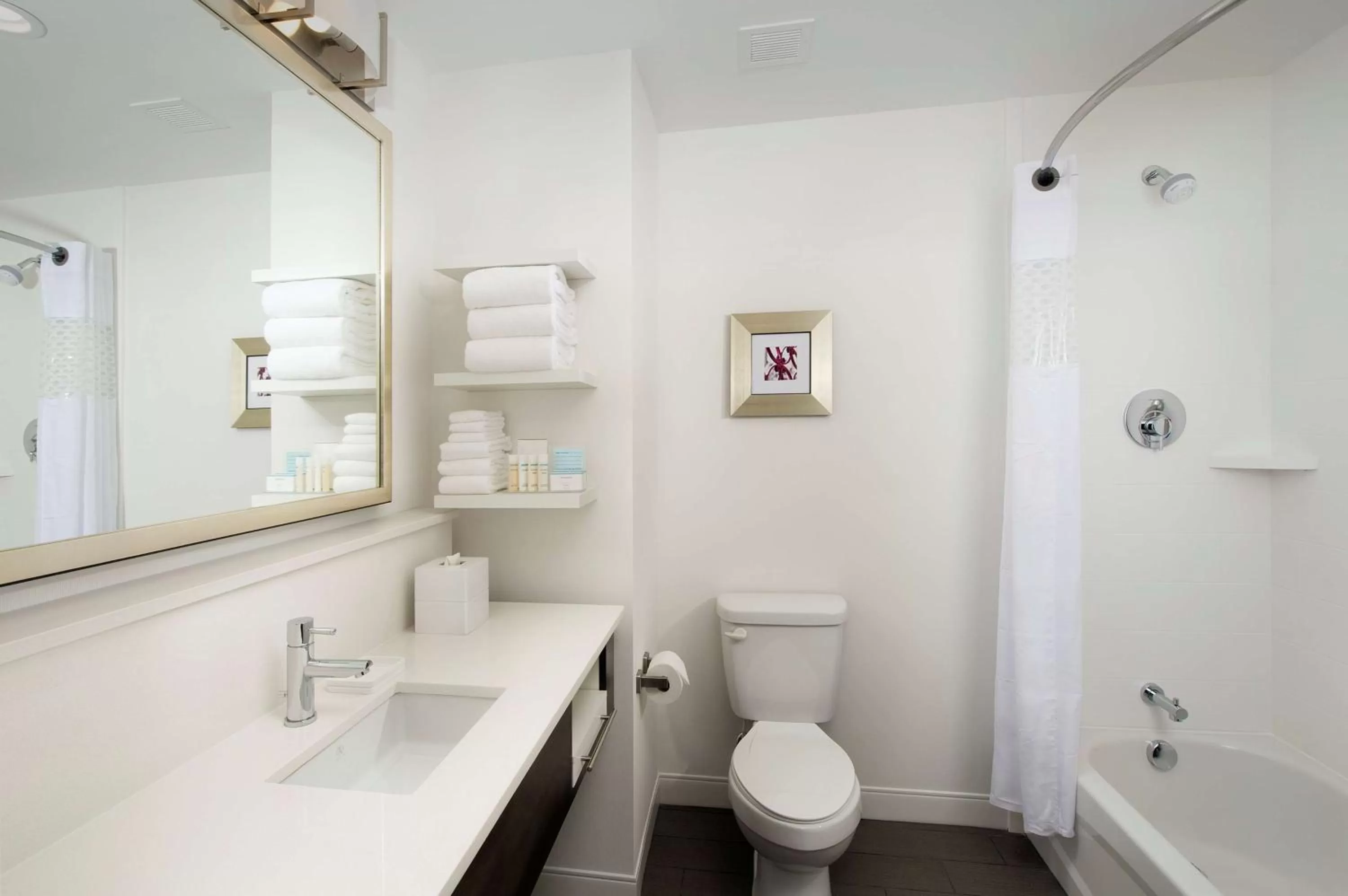 Bathroom in Hampton Inn Louisville East Hurstbourne