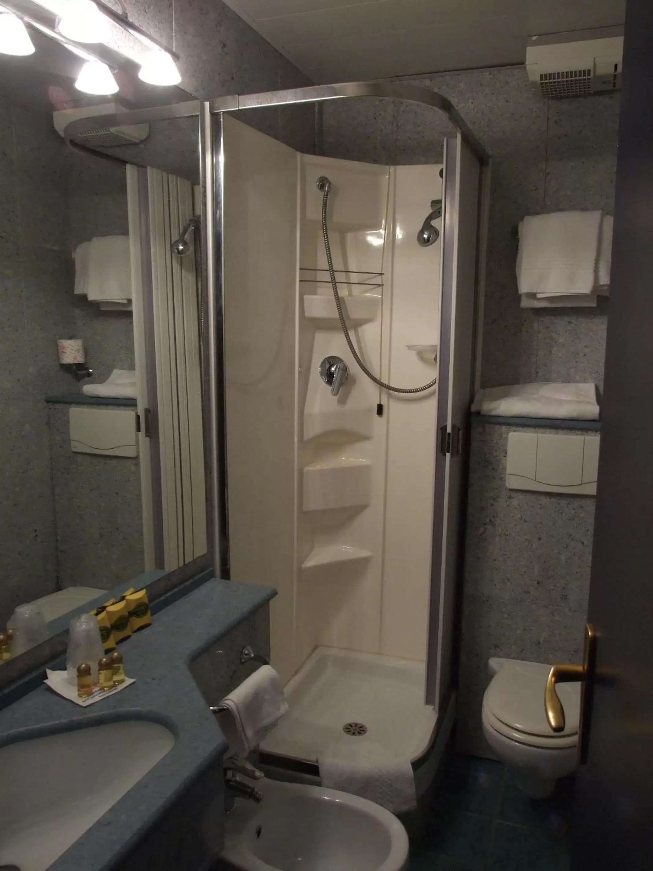 Shower, Bathroom in Coccodrillo Hotel & Apartments