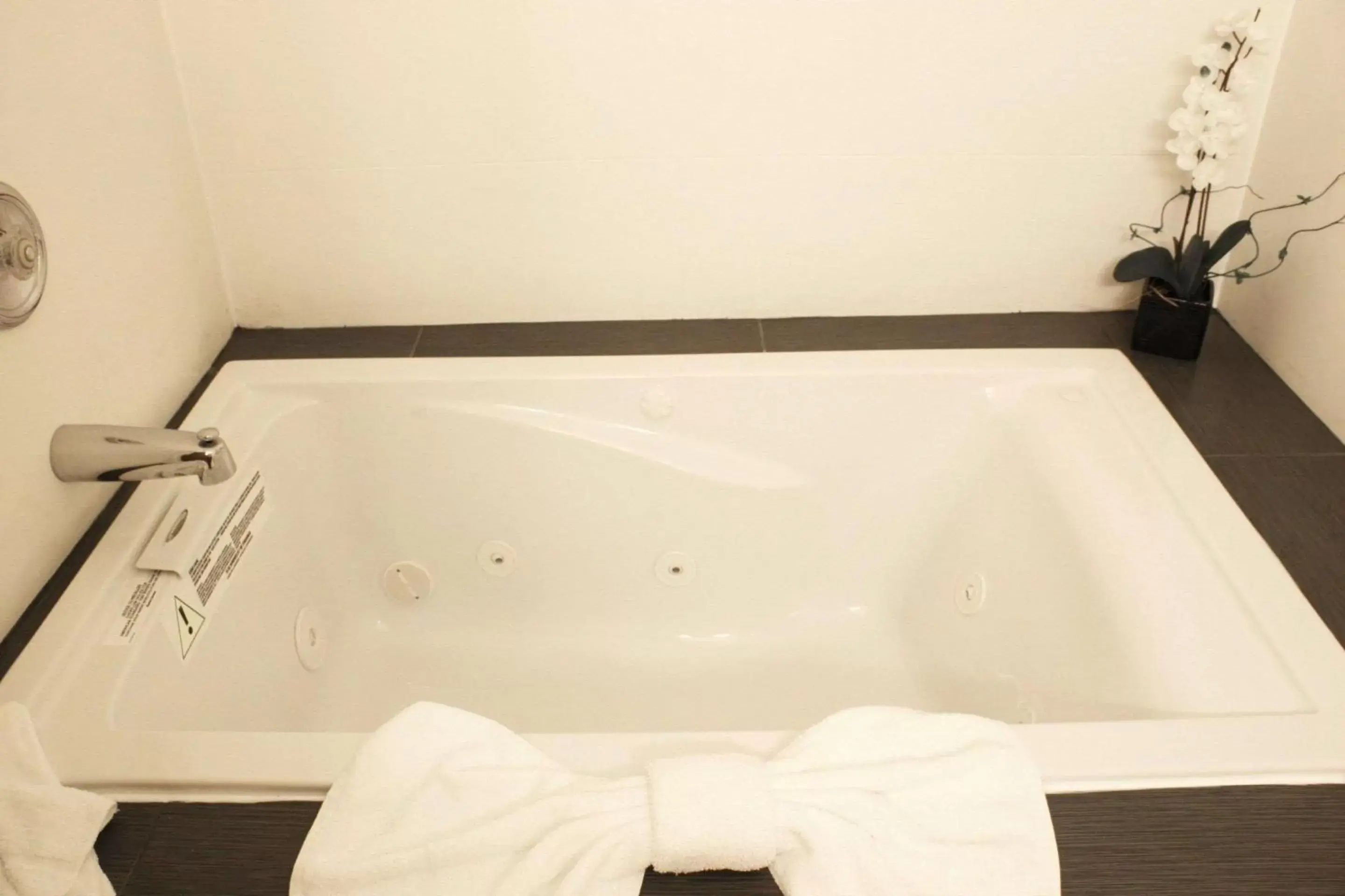 Hot Tub, Bathroom in Comfort Inn Central University South