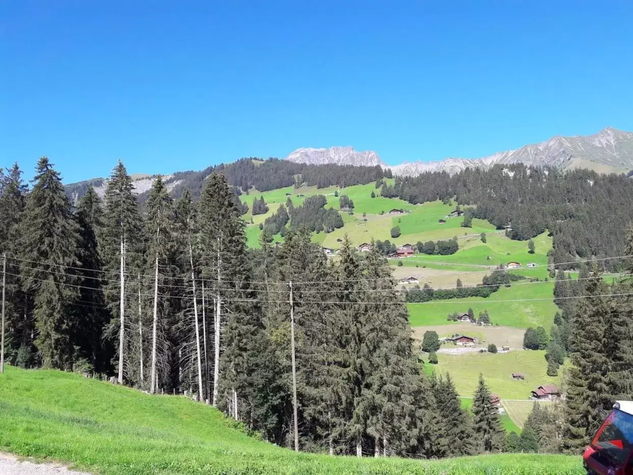 Natural landscape, Winter in Ferien in der Bergwelt von Adelboden