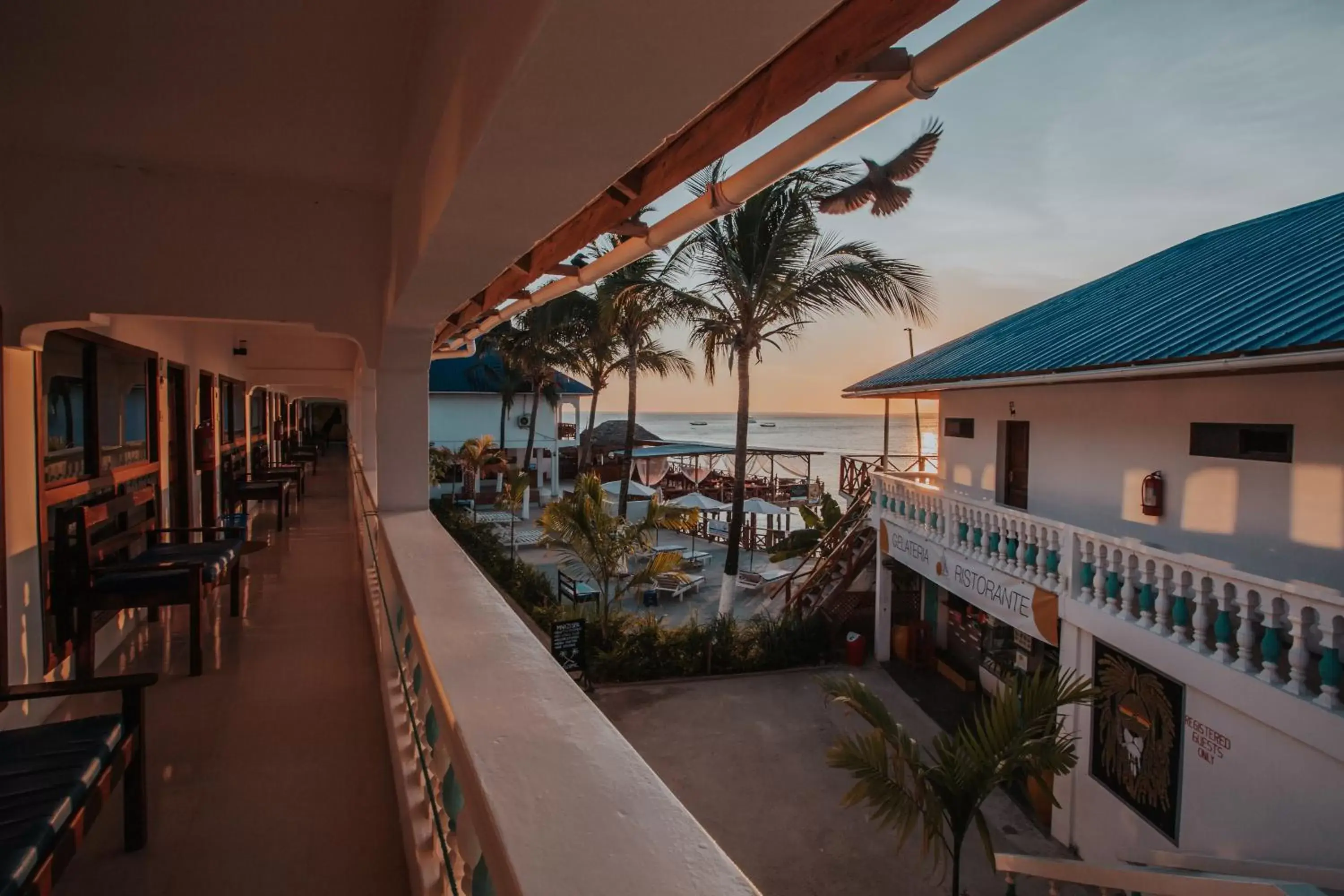 Property building, Balcony/Terrace in Zenobia Beach Resort