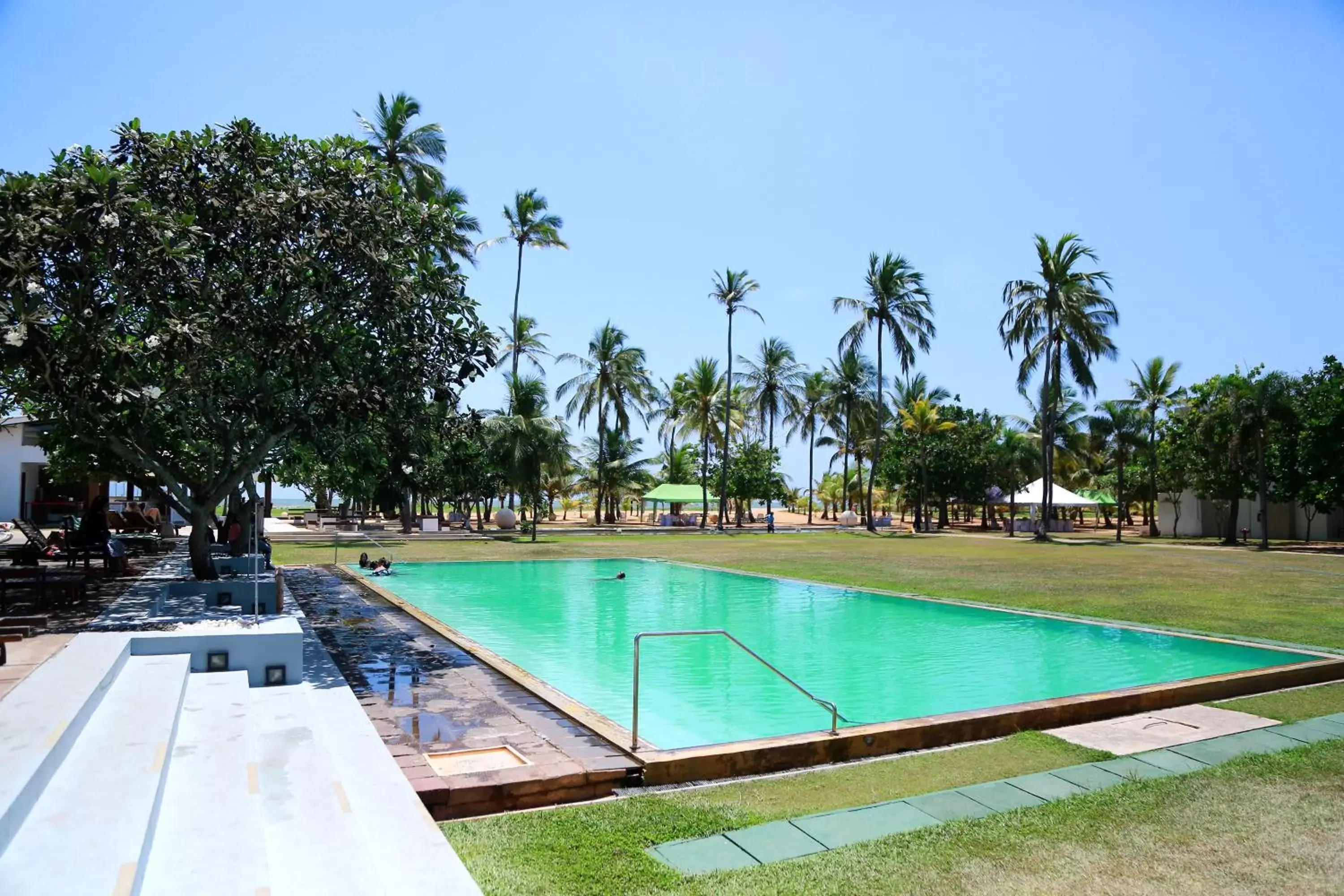 Garden, Swimming Pool in Pegasus Reef Hotel