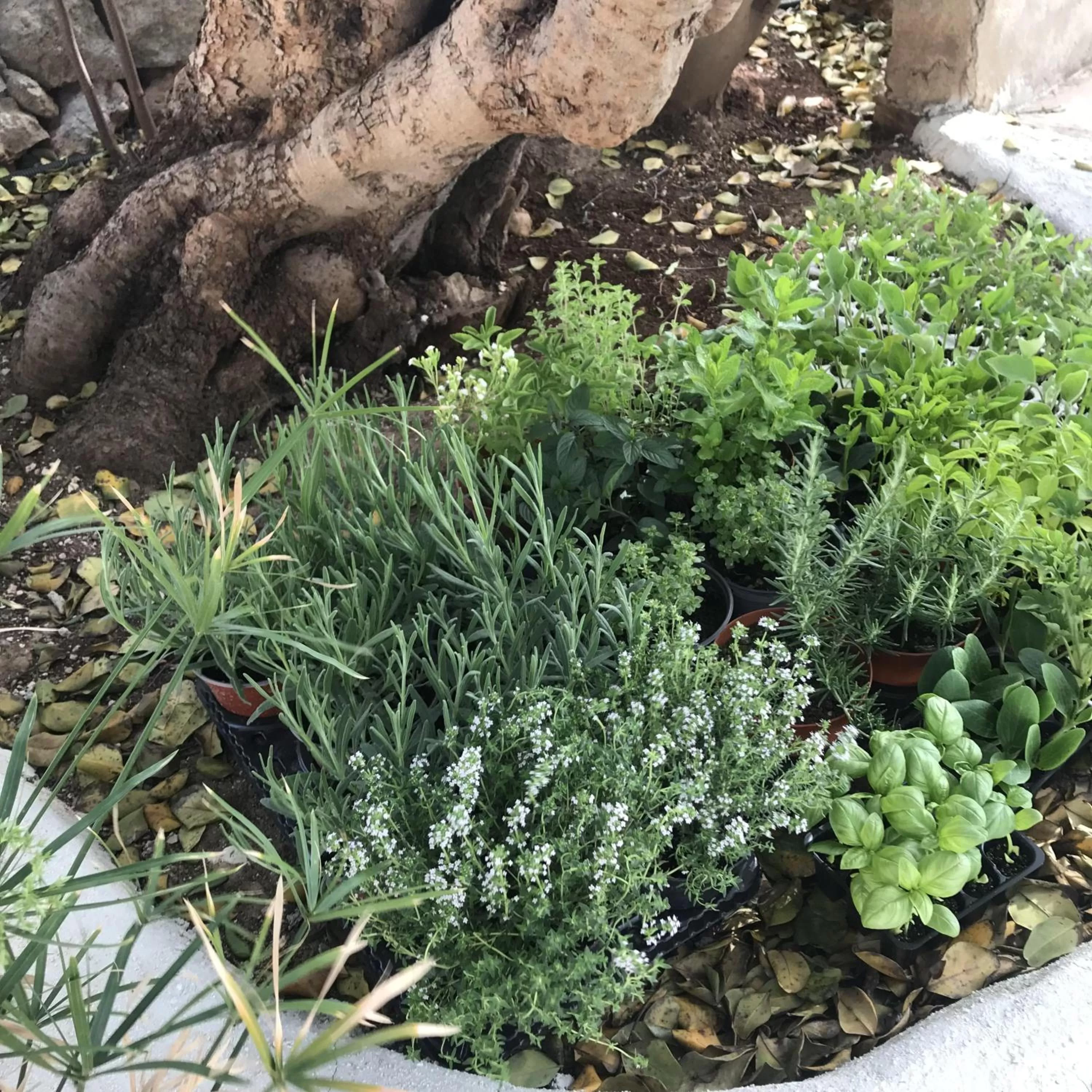 Property building in CasapiuHolidaySicilia-Adults Only