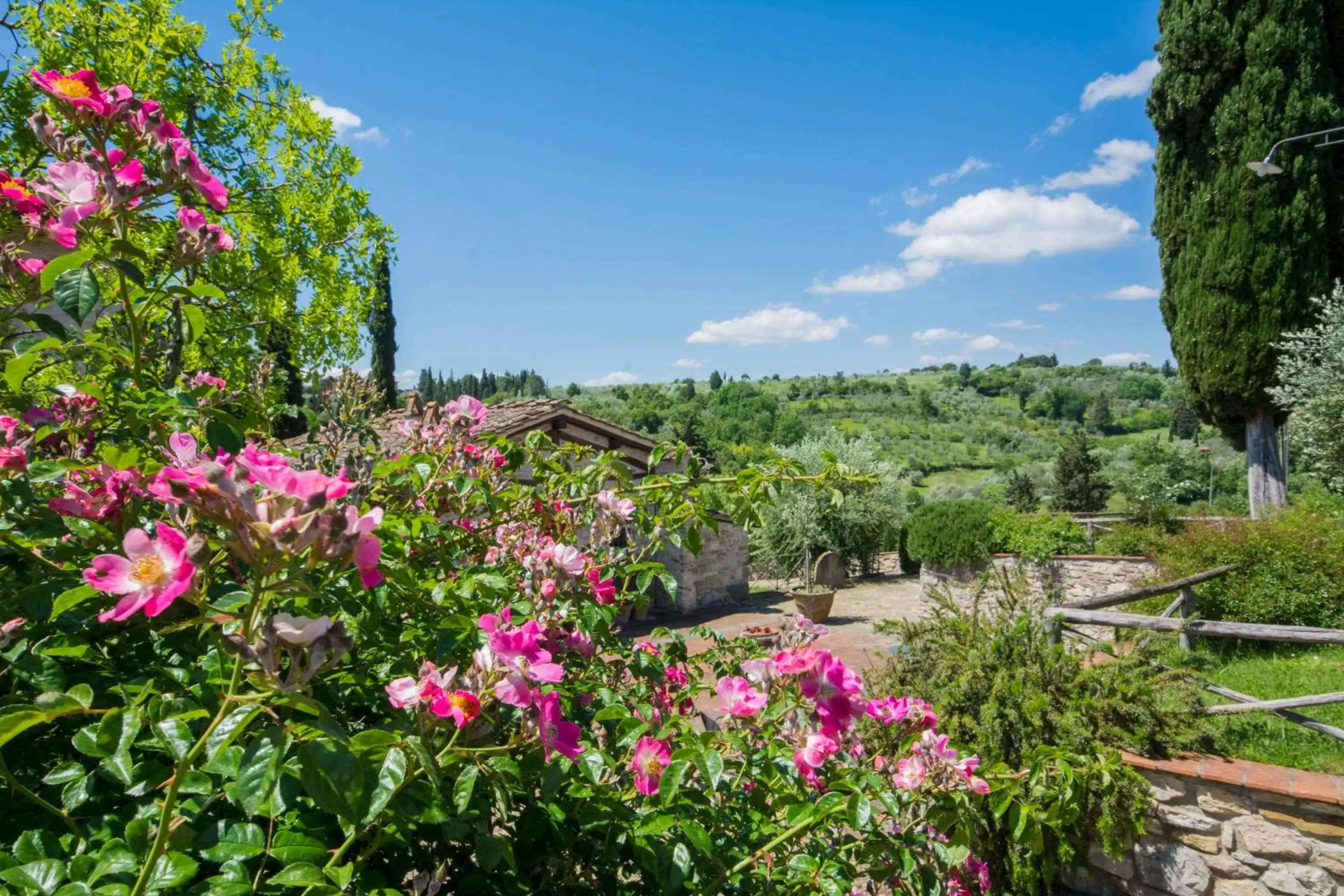 Garden in Borgo Bottaia