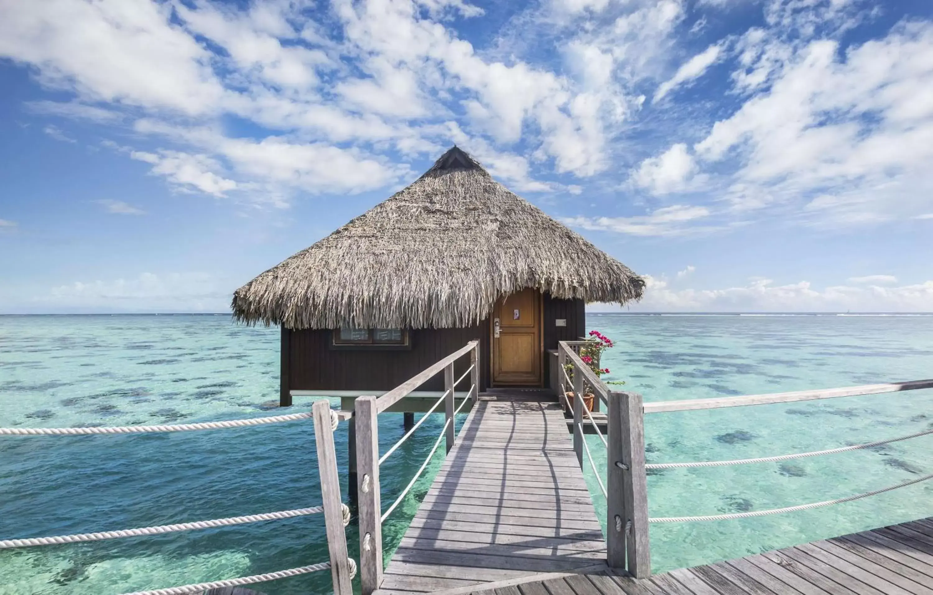 Photo of the whole room in Hilton Moorea Lagoon Resort & Spa Photo of the whole room in Hilton Moorea Lagoon Resort & Spa
