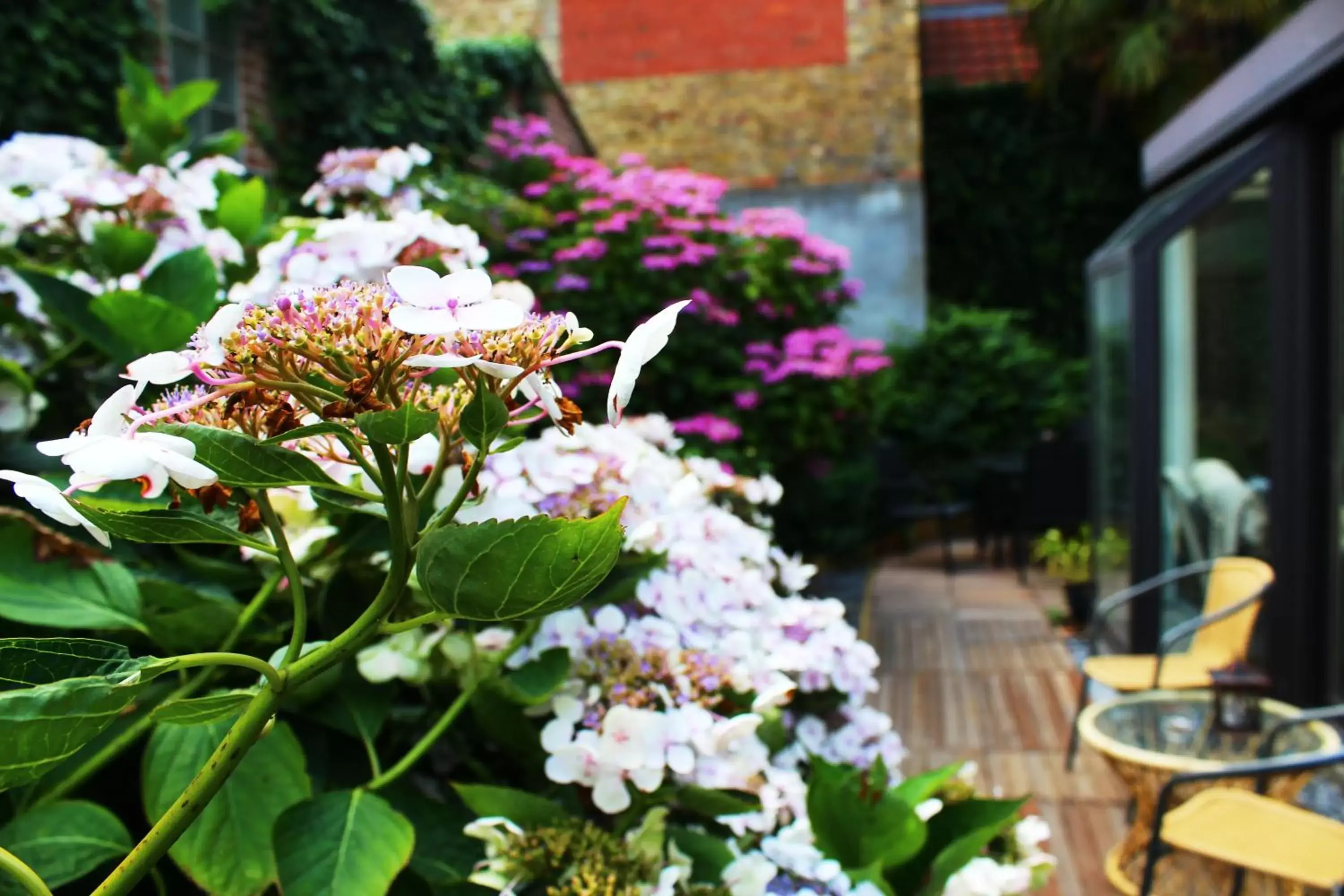 Garden in Hotel Montovani