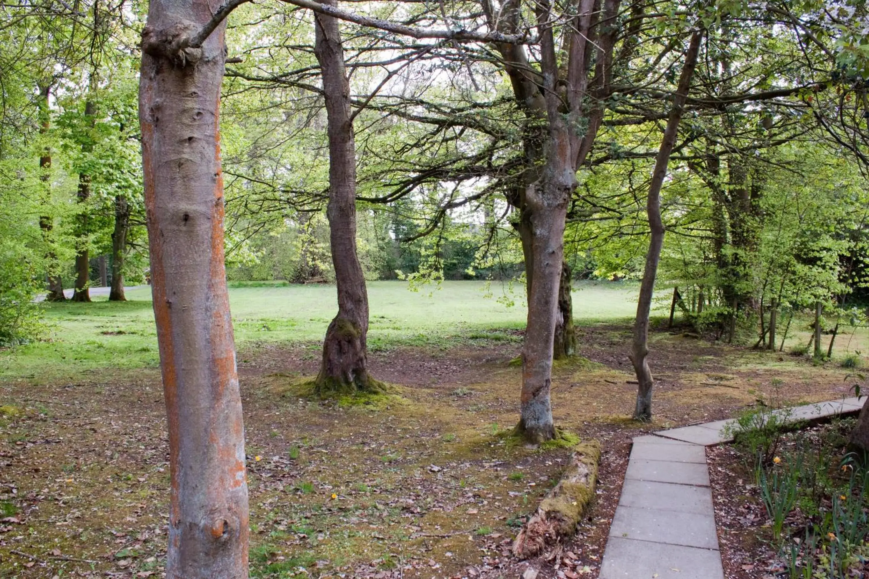 Natural landscape in Bankton House Hotel