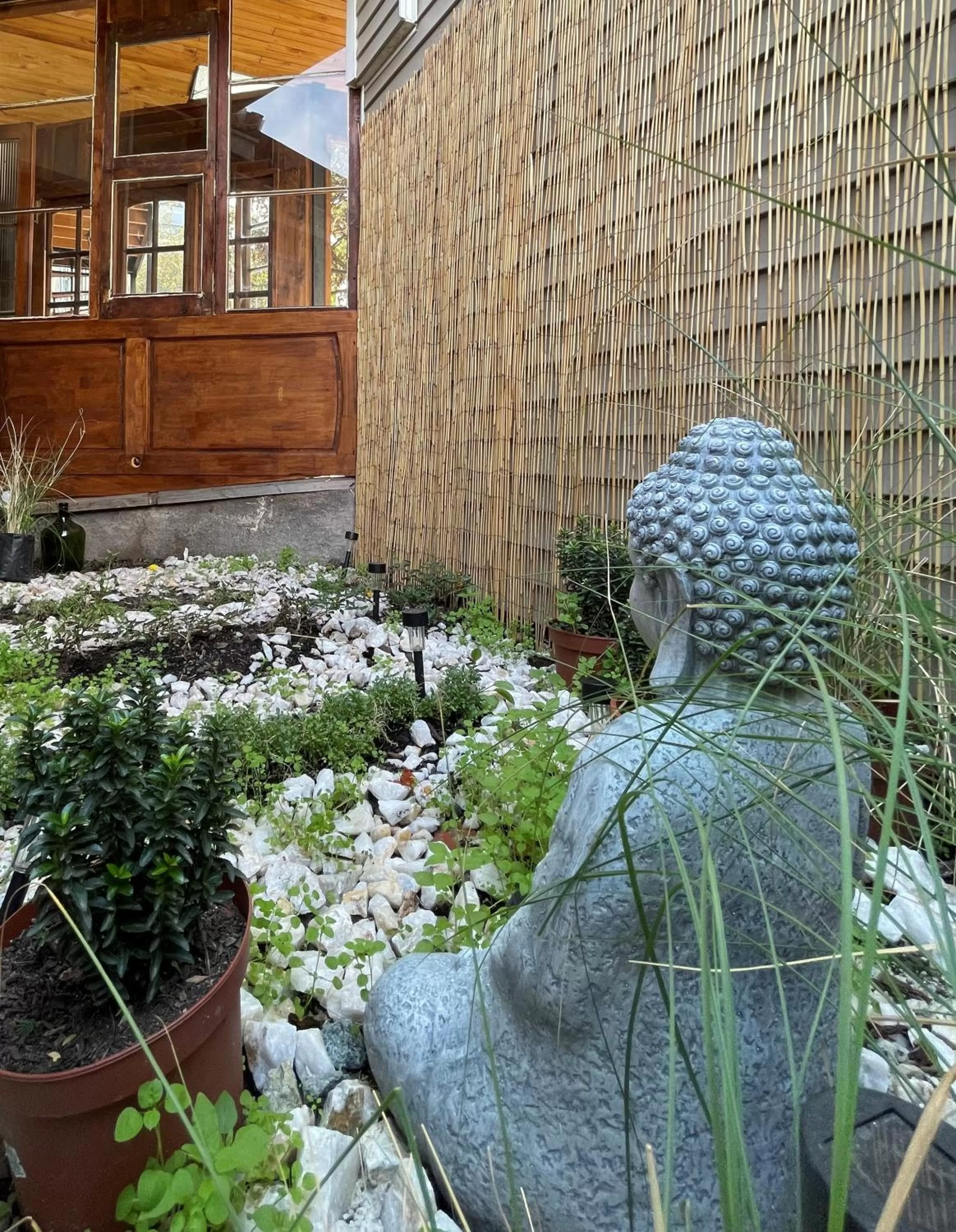 Inner courtyard view in Verde Madera Hostel B&B
