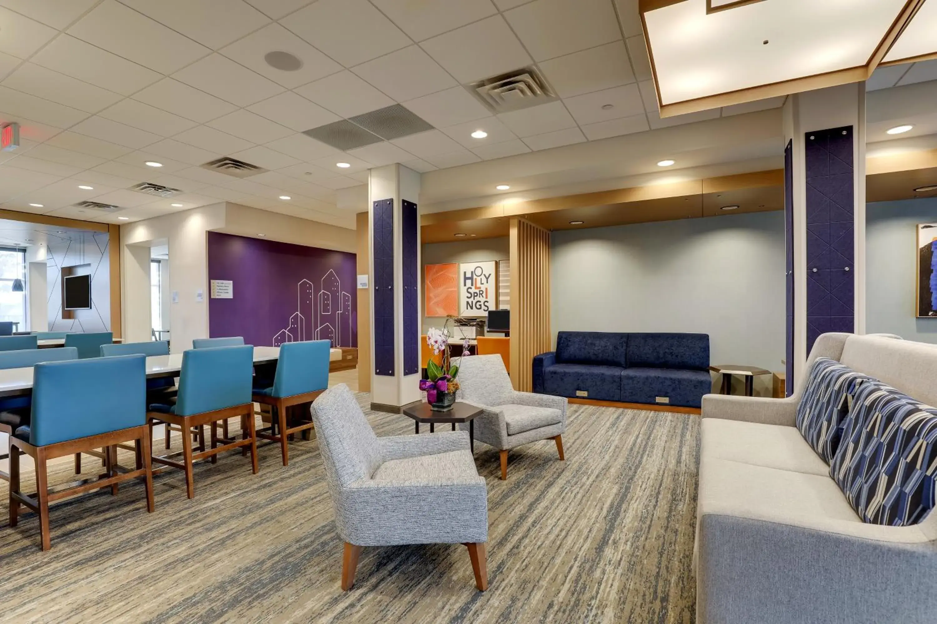 Communal lounge/ TV room in Holiday Inn Express Holly Springs - Raleigh Area, an IHG Hotel