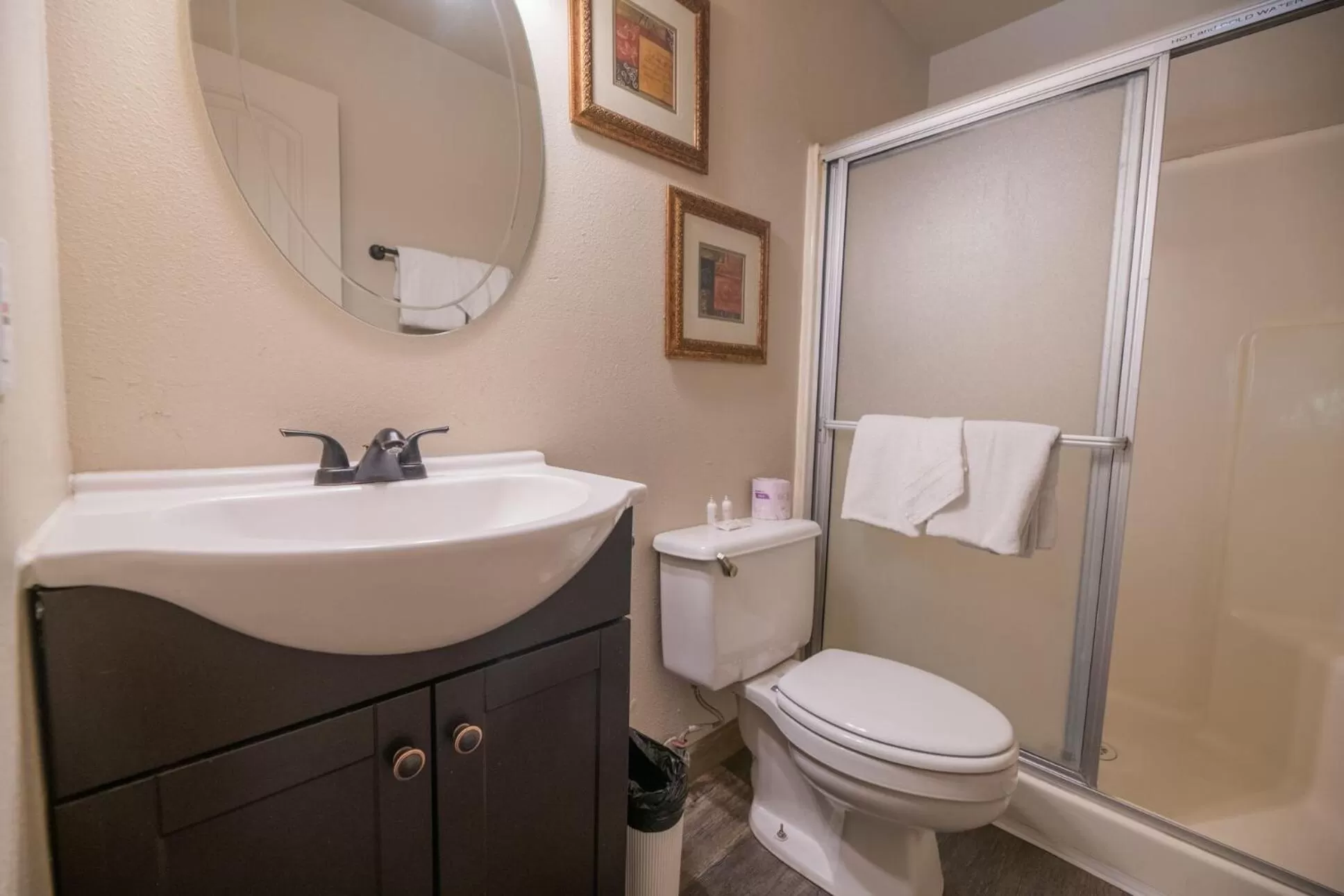 Bathroom in Black Forest Lodge