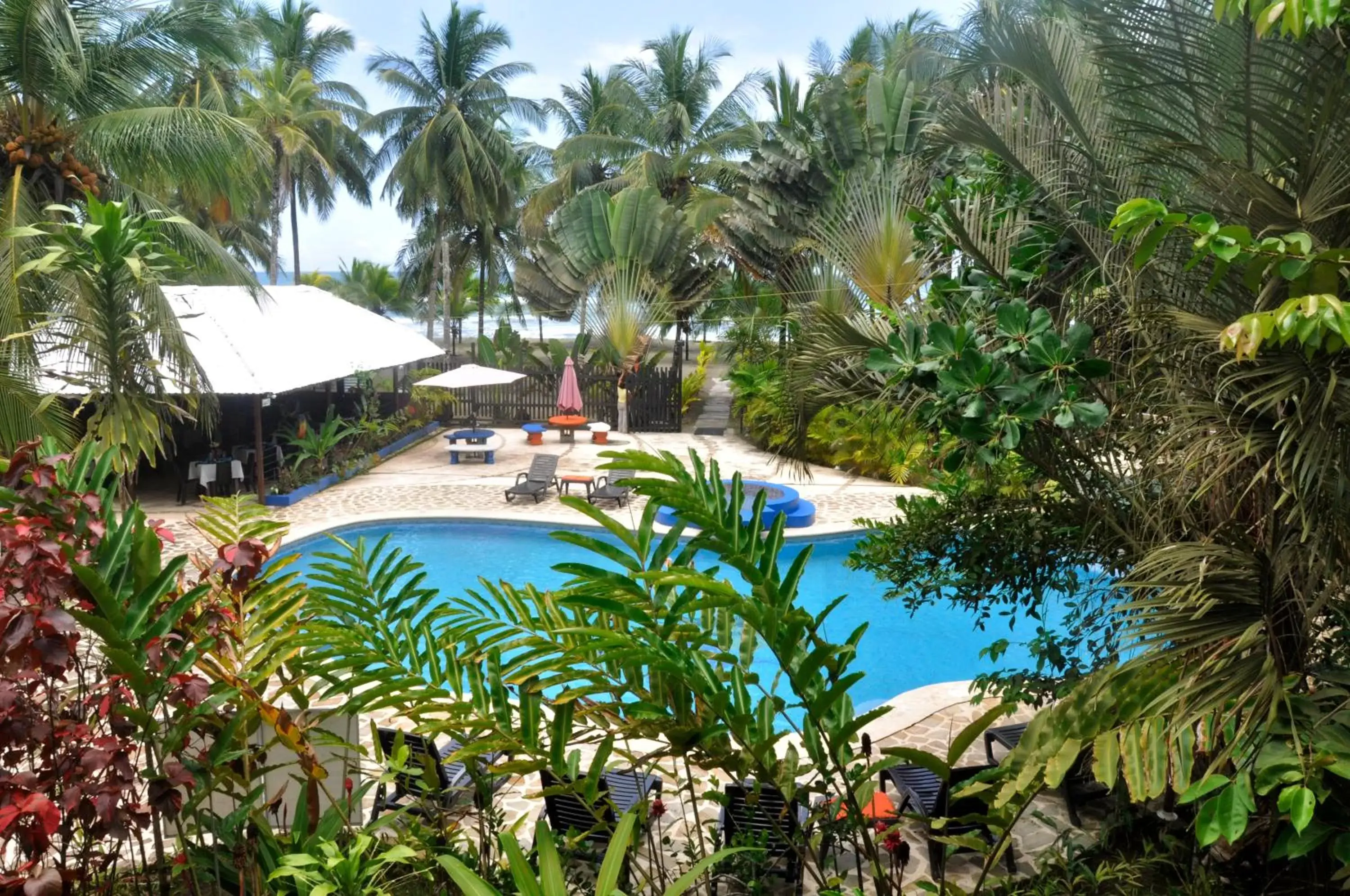 Pool View in Hotel Playa Westfalia