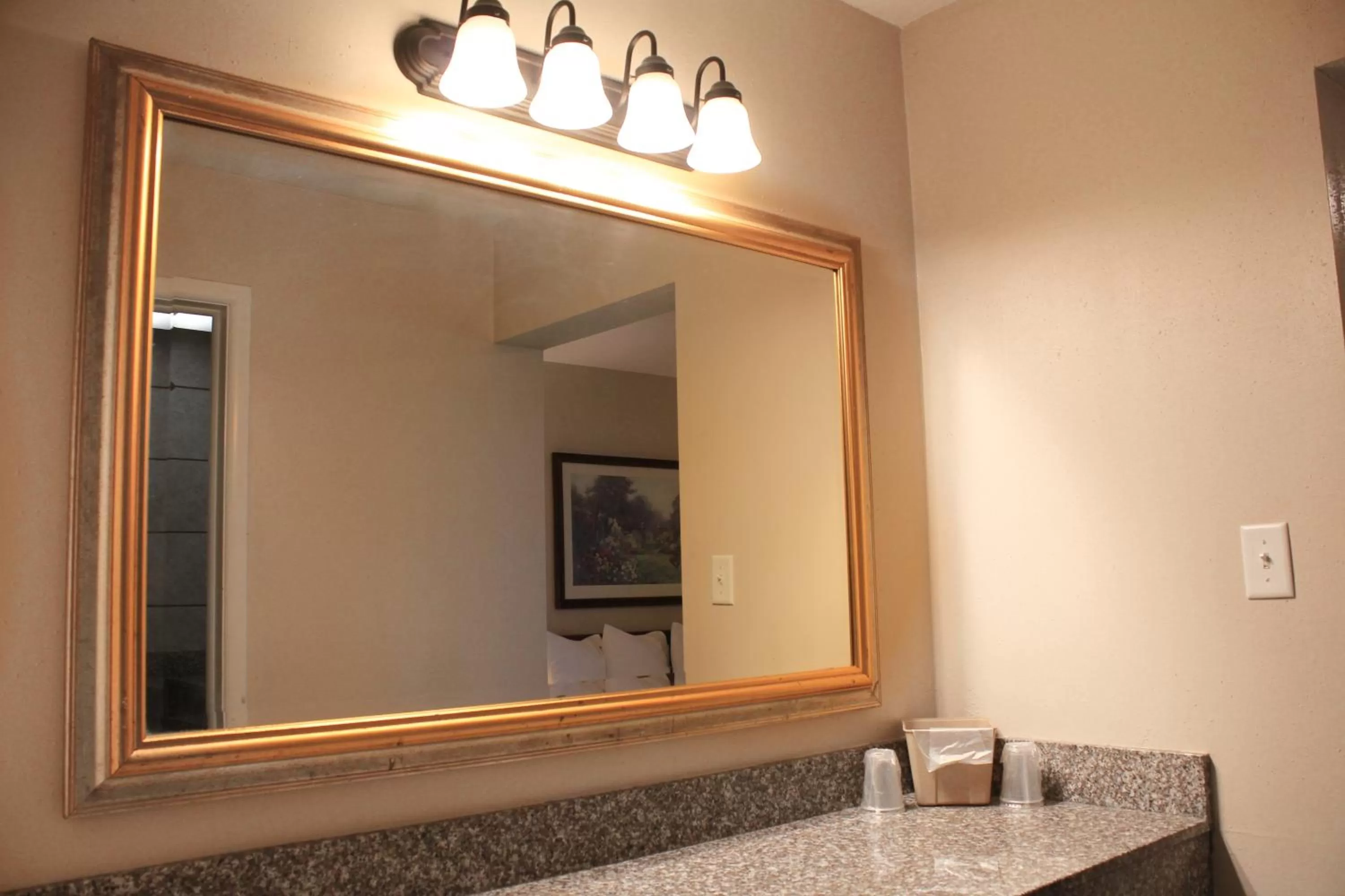 Alpine Inn & Suites Rockford