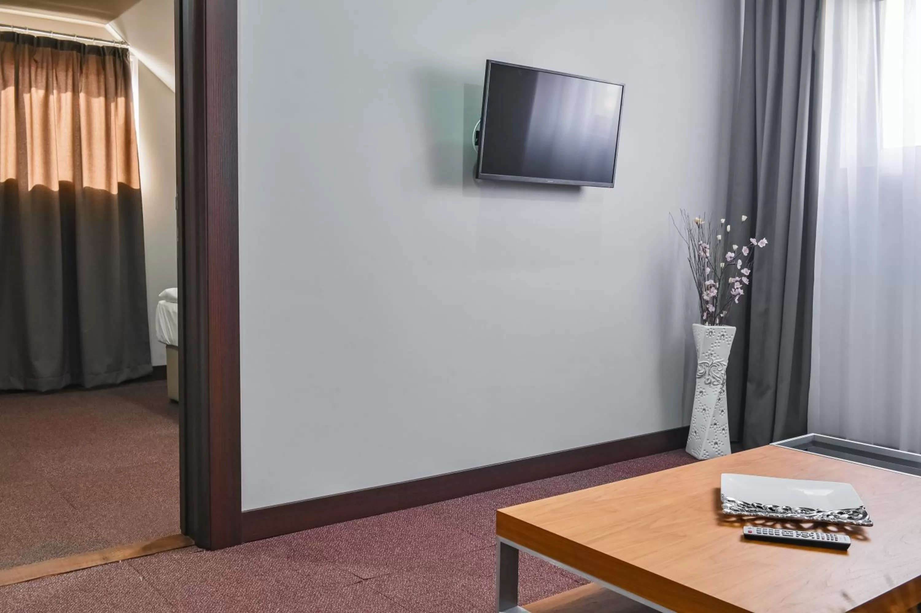 TV and multimedia in Garni Hotel Aline