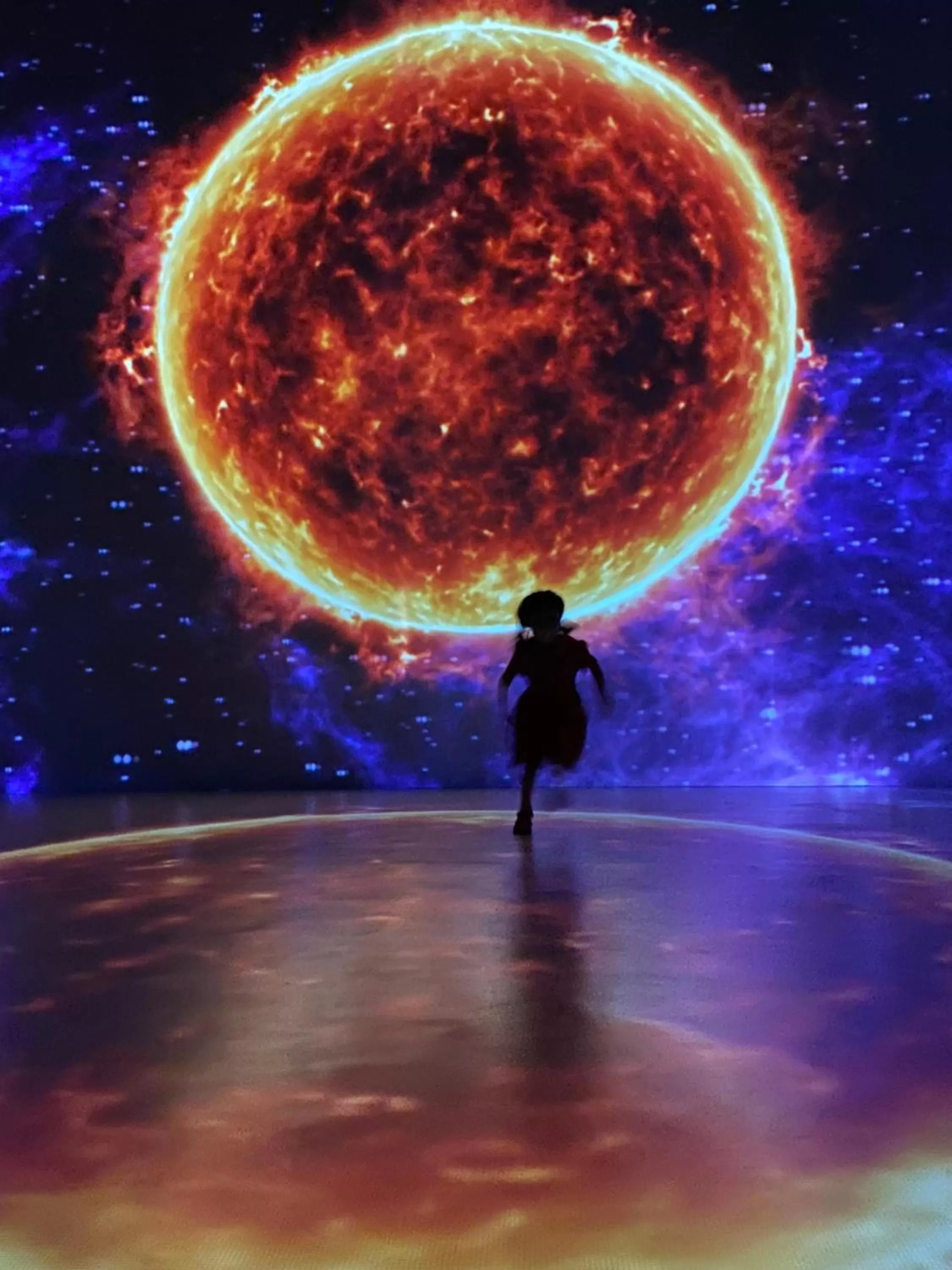 Activities in Hotel La Casa de los Árboles Immersive Experience