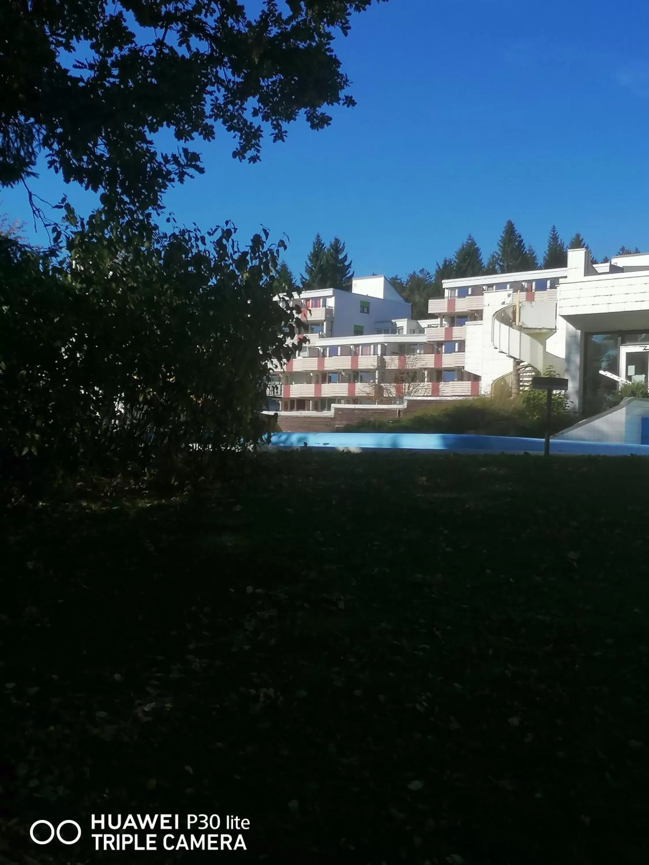 Garden in King Panorama mit Netflix