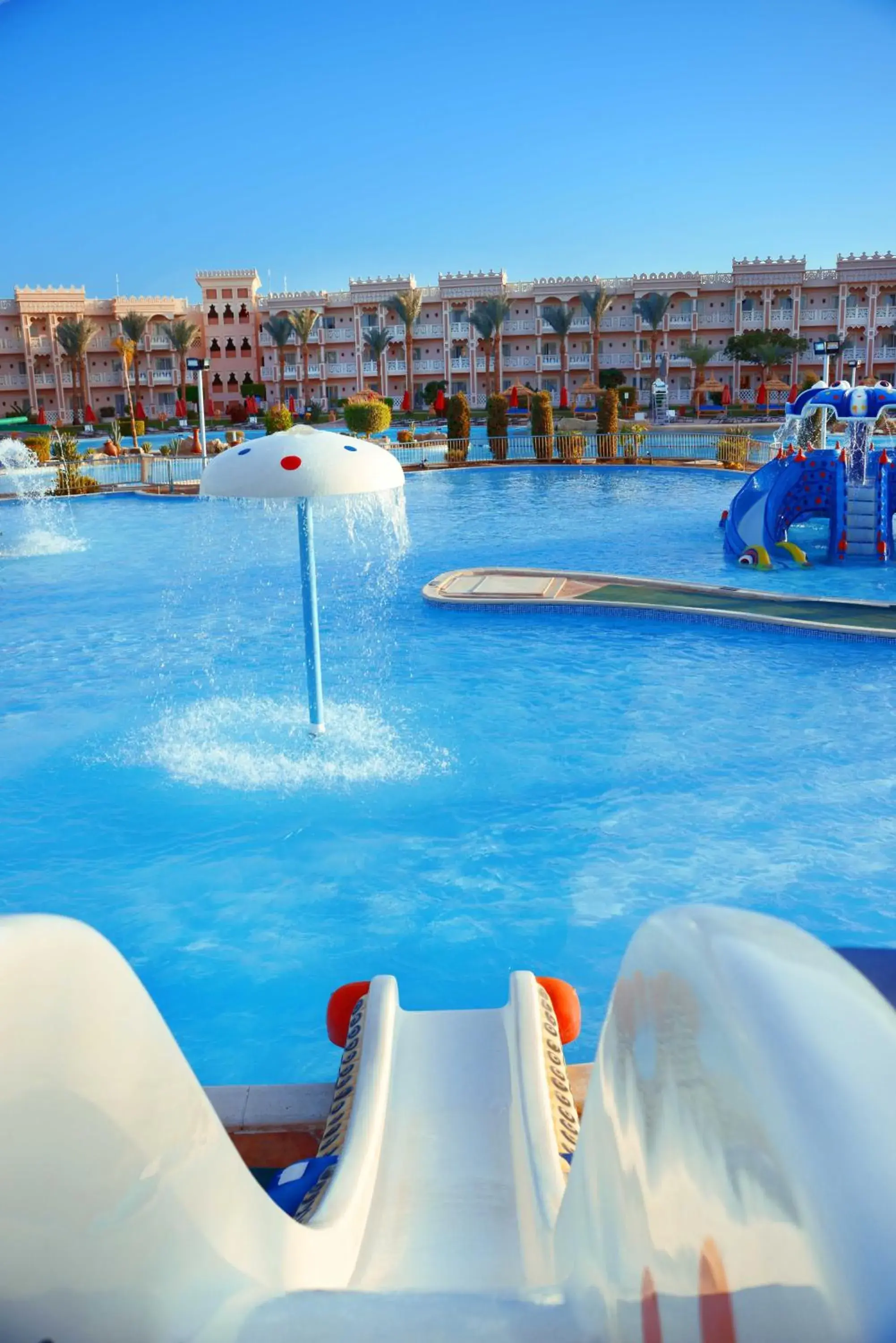 Aqua park, Swimming Pool in Albatros Palace Resort (Families and Couples Only)