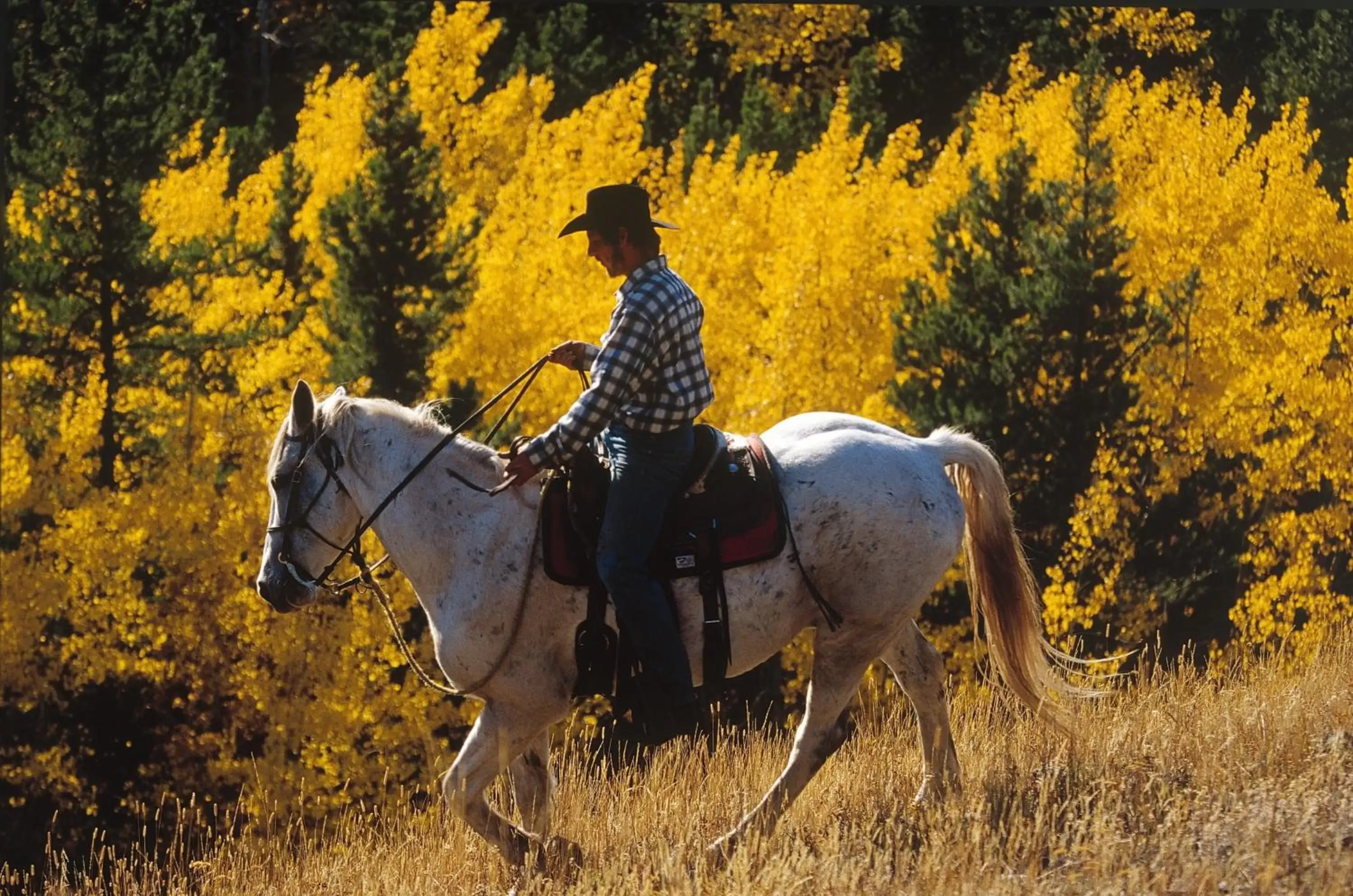 Spring, Horseback Riding in Falcon Crest Lodge by CLIQUE