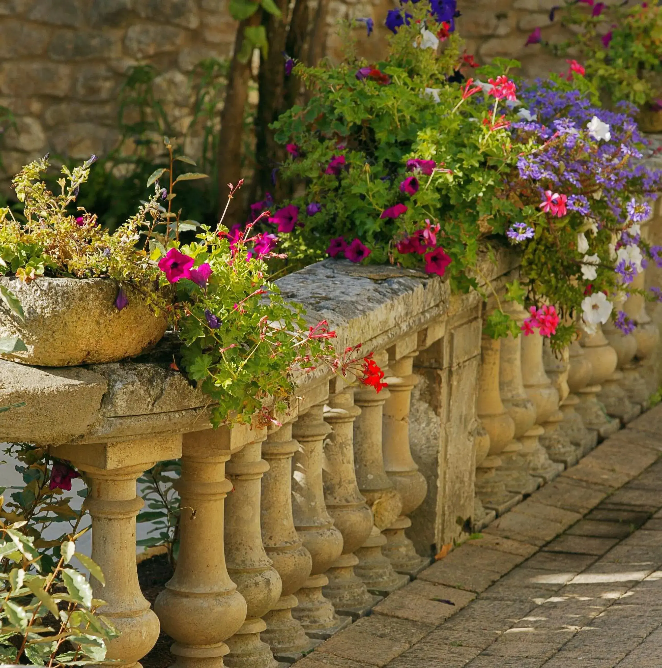 Garden in Clos La Boëtie & Spa