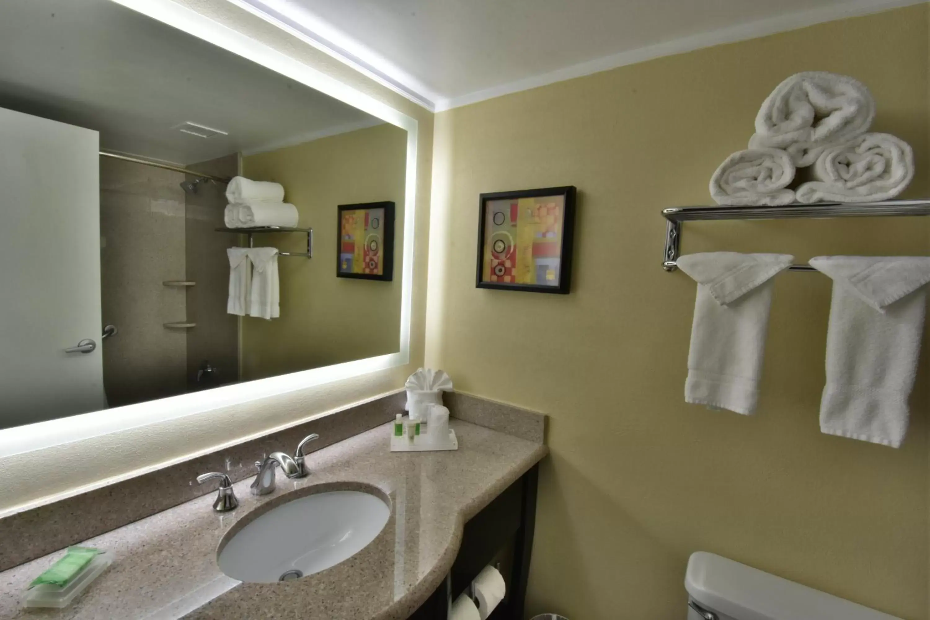 Photo of the whole room, Bathroom in Holiday Inn Orlando East-UCF Area, an IHG Hotel