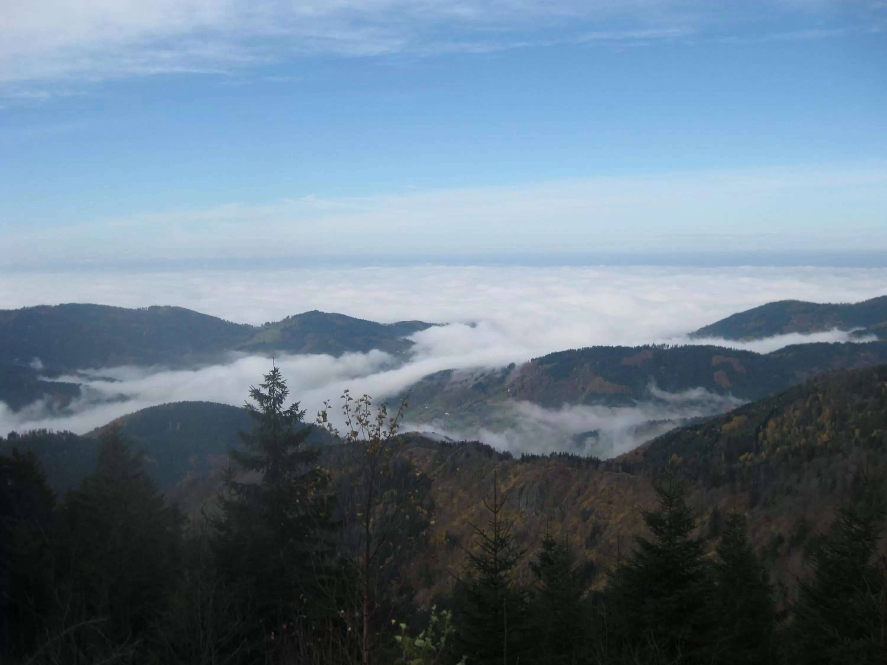 Natural landscape in DEVA Hotel Renchtalblick
