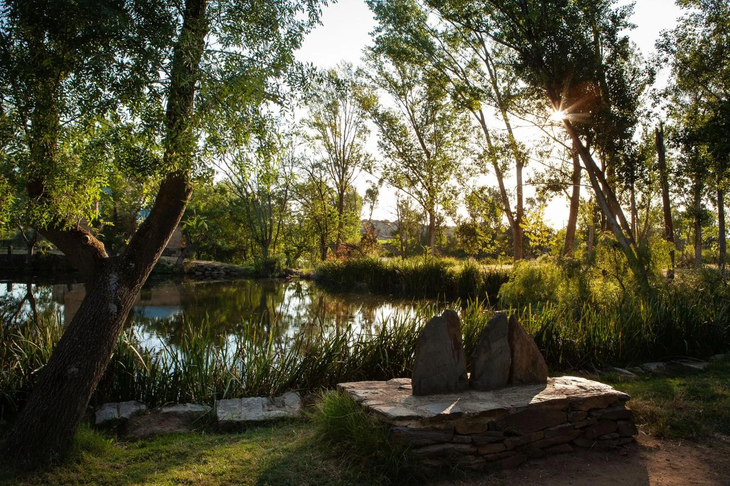 Hotel Doña Brígida – Salamanca Forum