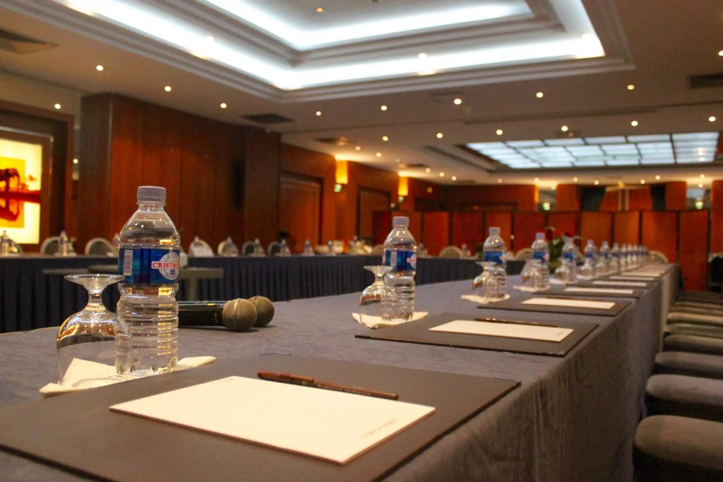 Business facilities in Hotel Tiama Abidjan