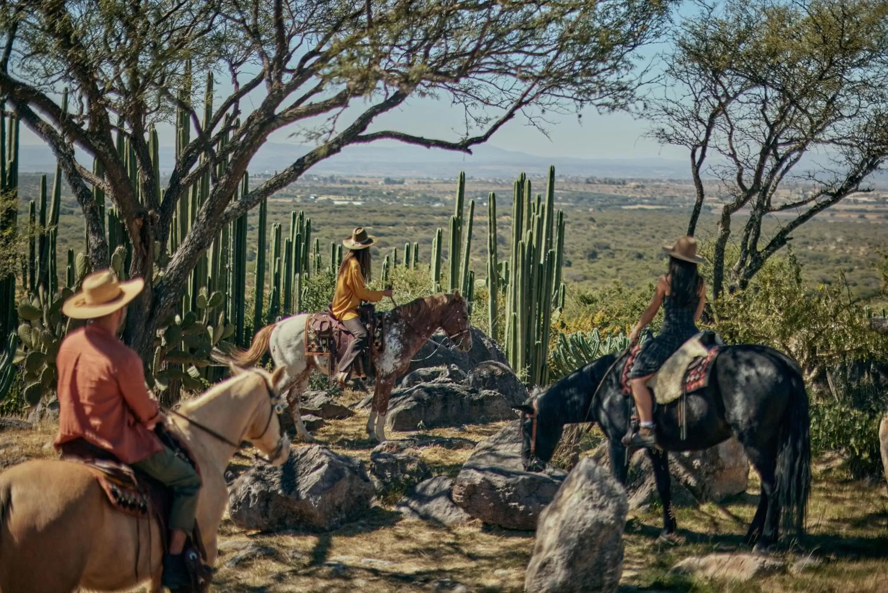 Activities, Horseback Riding in Our Habitas San Miguel de Allende