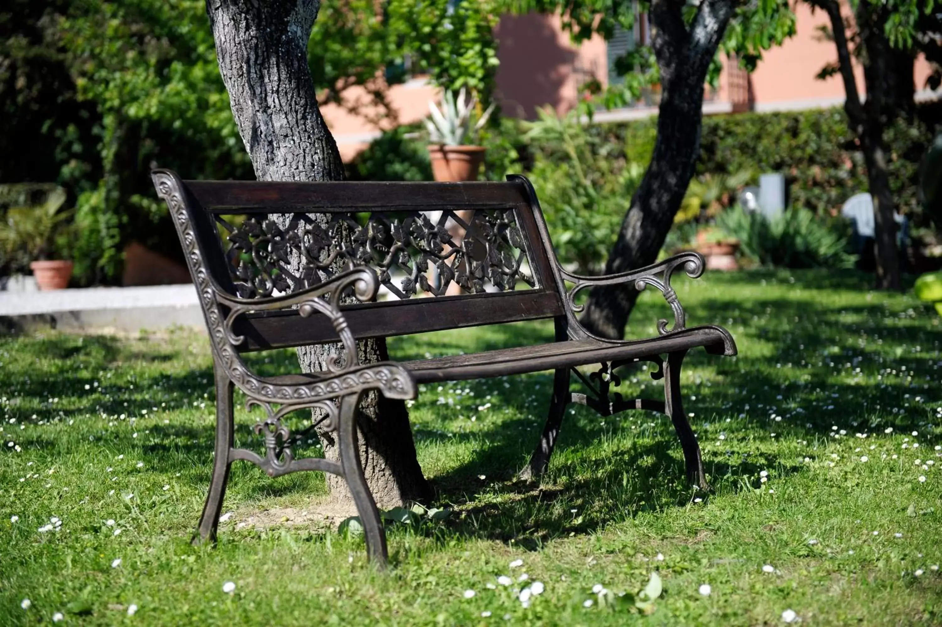 Garden in Hotel Villa Belvedere