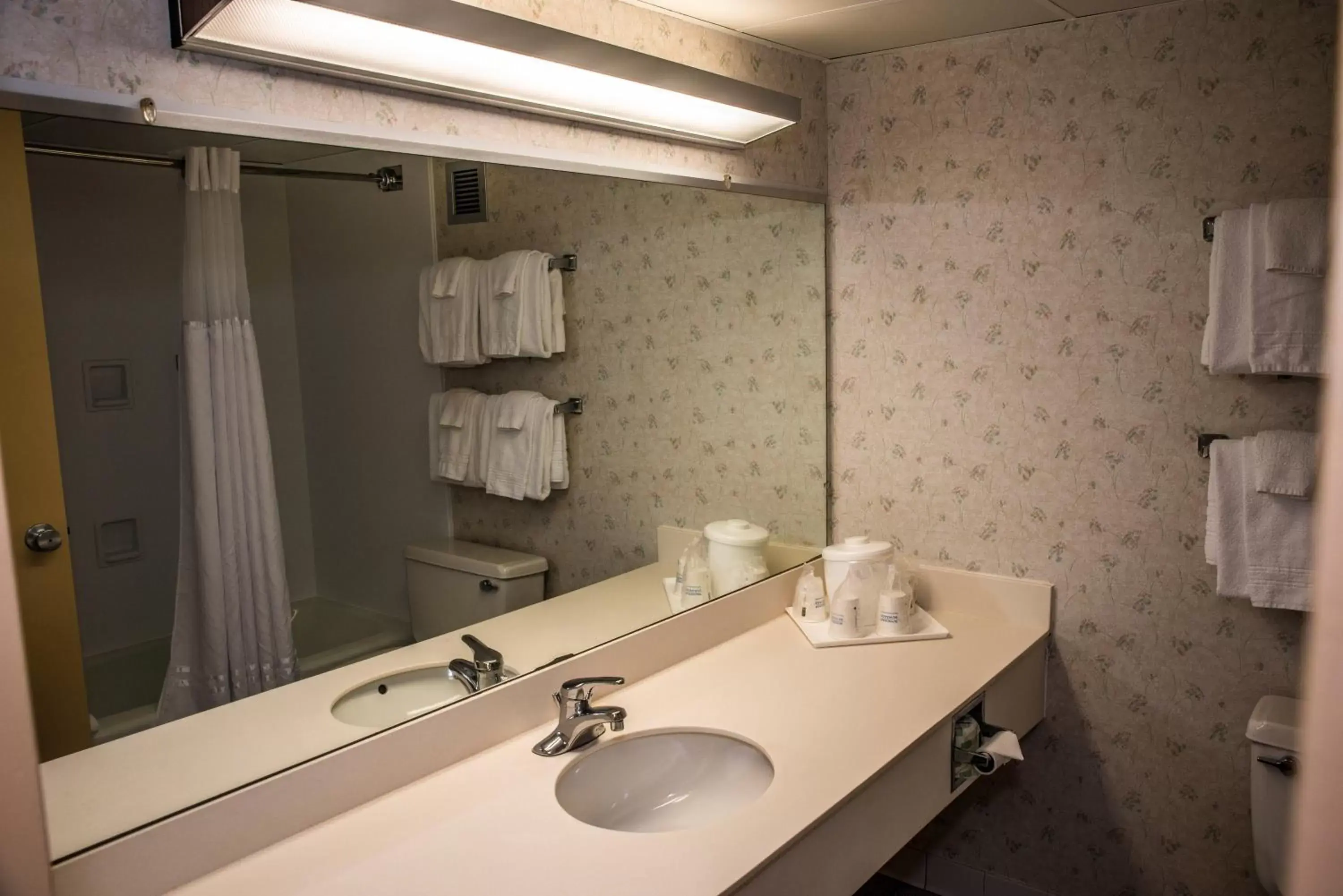 Bathroom in Ramada by Wyndham Alpena